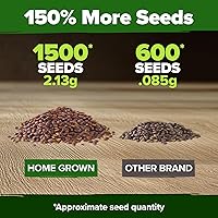 Vista 3 de HOME GROWN Pansy Swiss Giants Mix – 1500 semillas de flores (0.08 oz) – Semillas de pensamiento de plantación de otoño – Semillas de viola