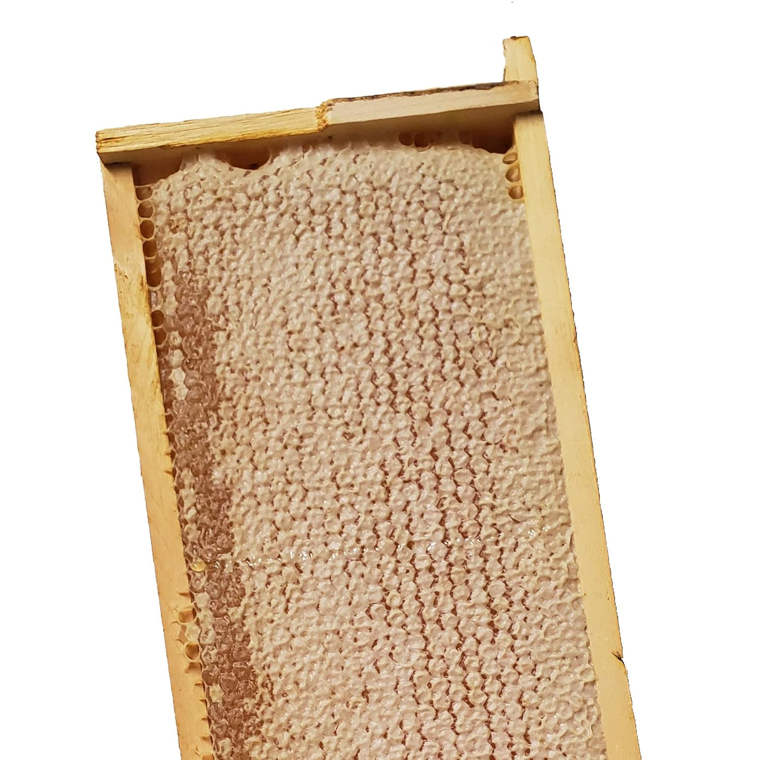 Pure Southern Honey's Raw Honeycomb on Wooden Frame (apx. 4 lbs) American Made