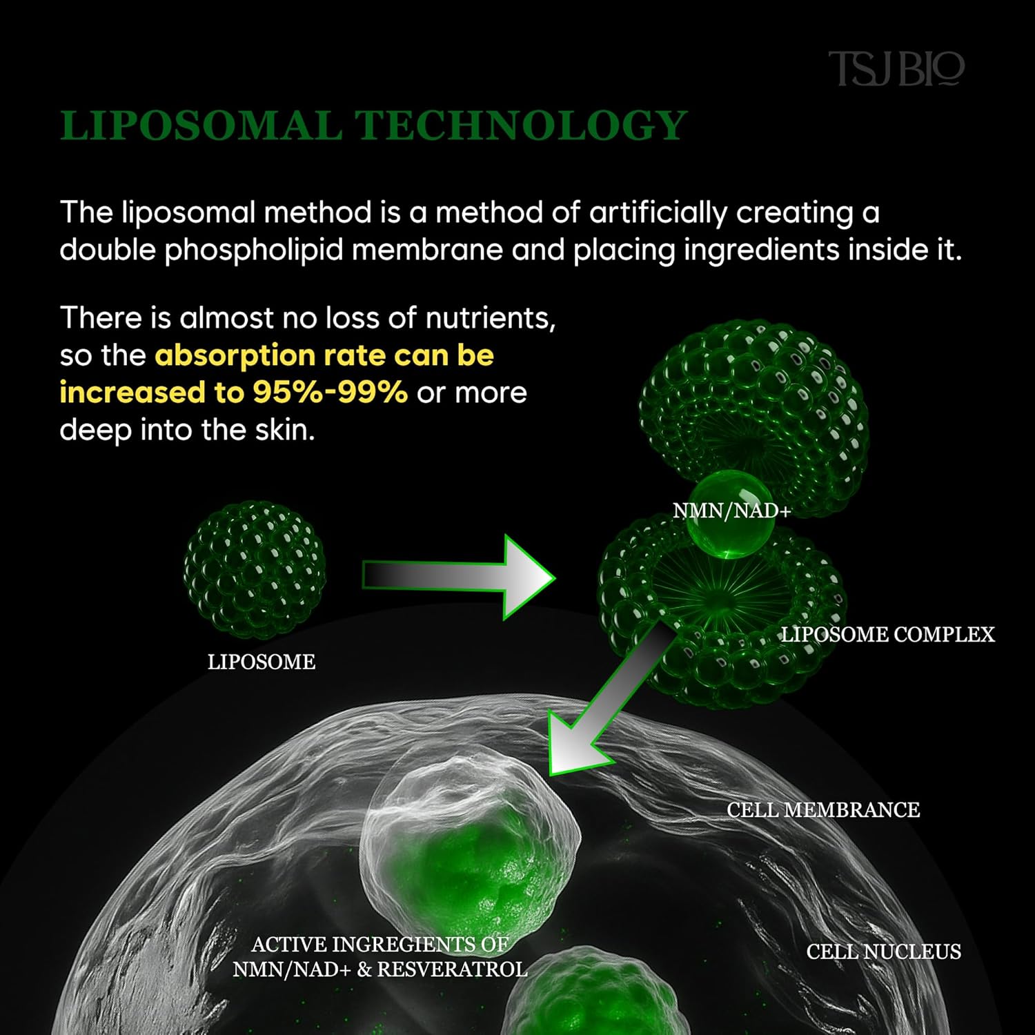 NAD+ Collagelly Vegan Collagen Mask – 2.1 fl. Oz with 10,000ppm NAD+, NMN, Exosome Complex - Korean Skin Care | Super Peel-Off Face for Blackheads, Pores, Lifting, Exfoliating - Image 5