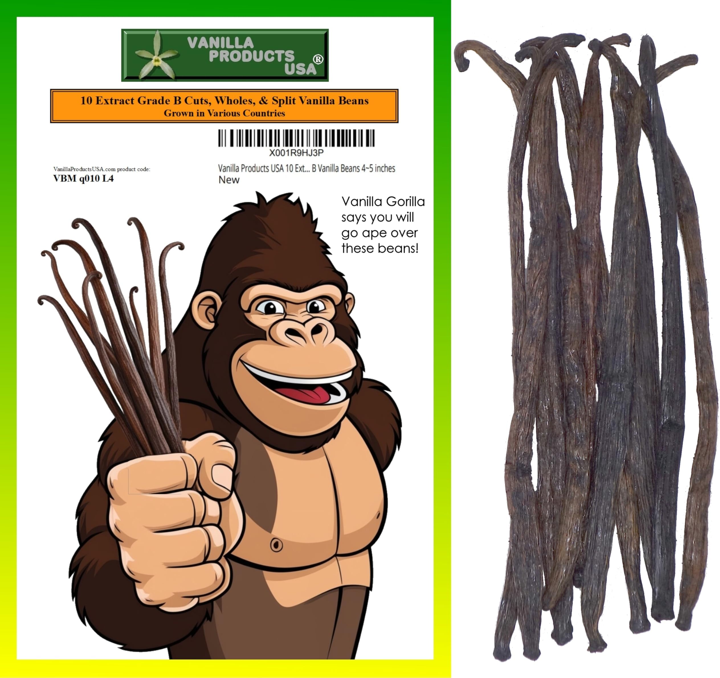 10 Extract Grade B Vanilla Beans 4~5 inches (12~14 cm)