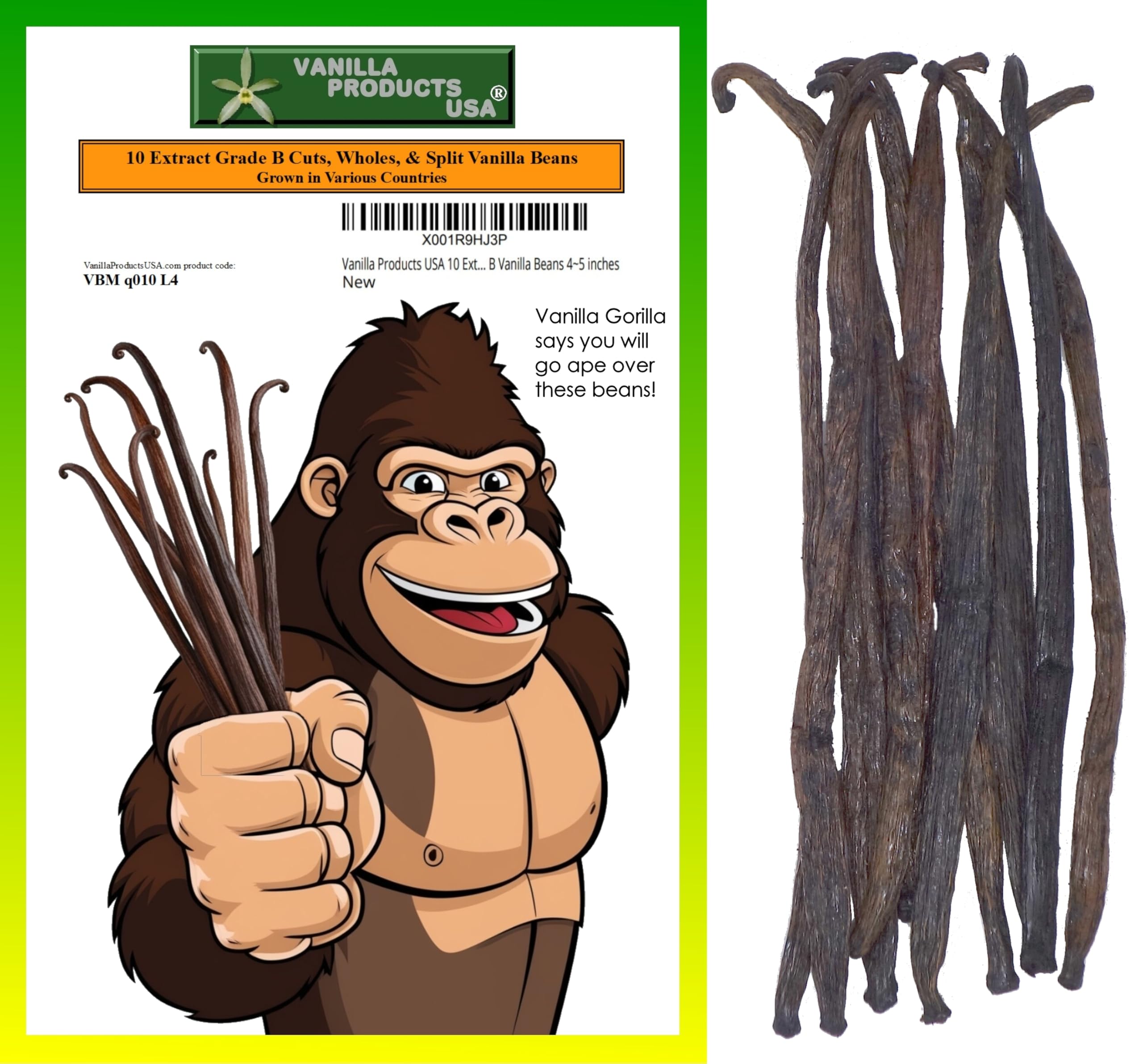 Vanilla Products USA 10 Extract Grade B Vanilla Beans 4~5 inches (12~14 cm)