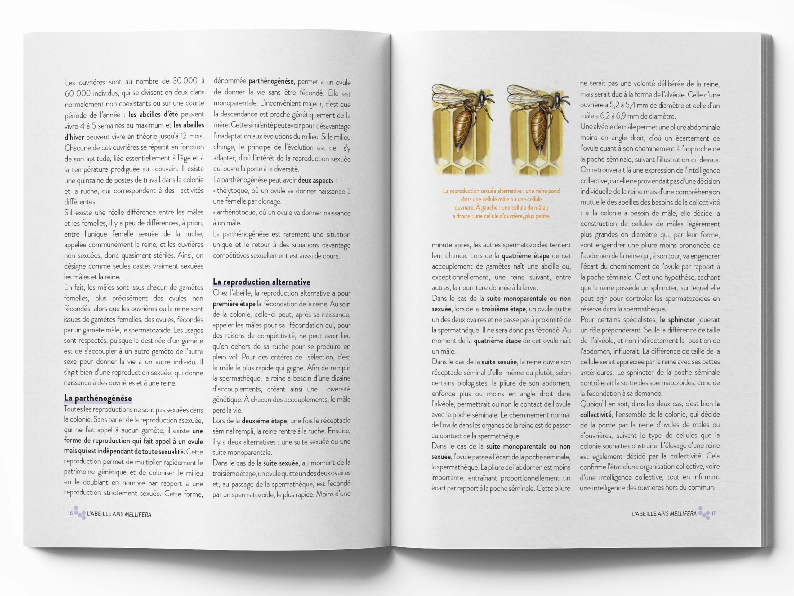 Le grand guide visuel de l'apiculture: Les techniques apicoles pour conduire un rucher
