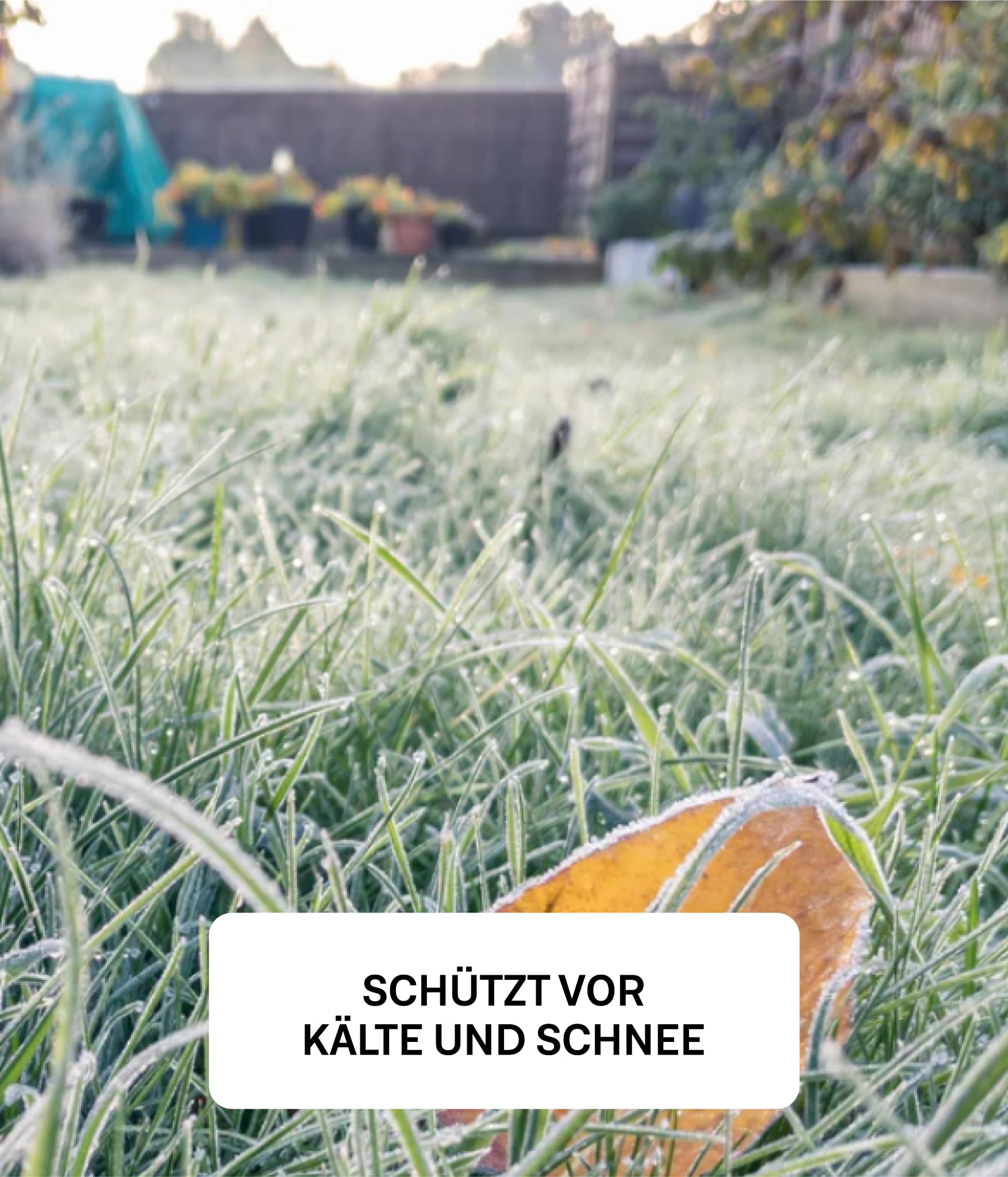 organtic Herbstrasendünger 20kg - Rasendünger mit Kalium für Herbst & Winter - Unterstützt sattgrünen Rasen, Moosverdrängung & starke Rasengräser - Für organische Rasenpflege im Garten