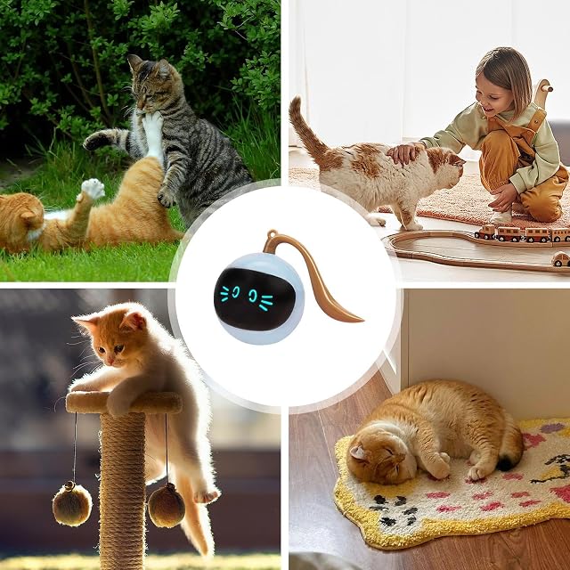Foto 5 de 8 de leryveo Pelota automática para Gatos, Pelota Inteligente para Gatos