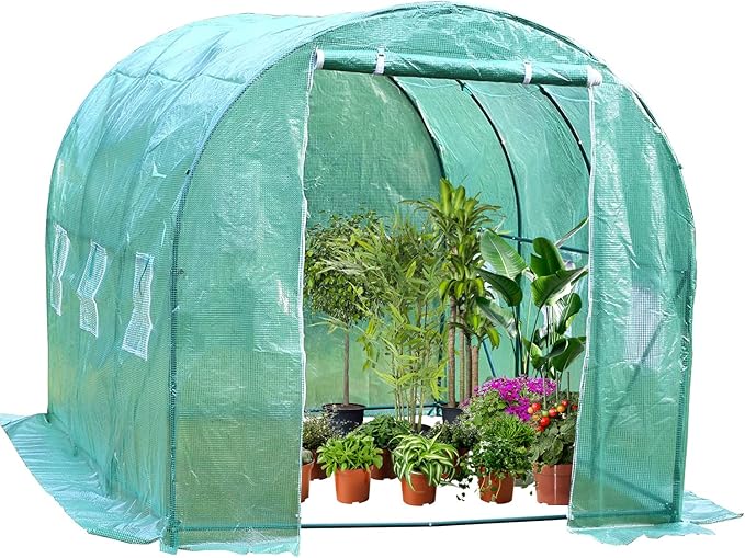 FDW L10'xW7'xH7' Greenhouse for Outdoors Greenhouse