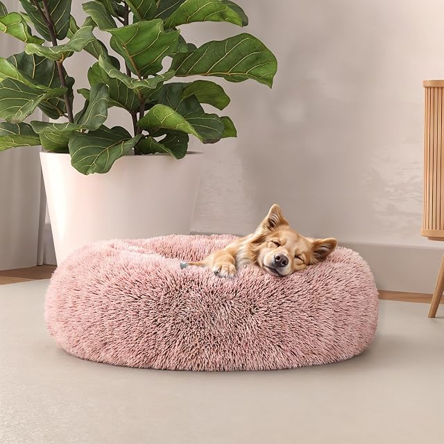 Italian Bed Linen Suave caseta Dreams para Perros y Gatos, Rosa, 50 x 50 cm