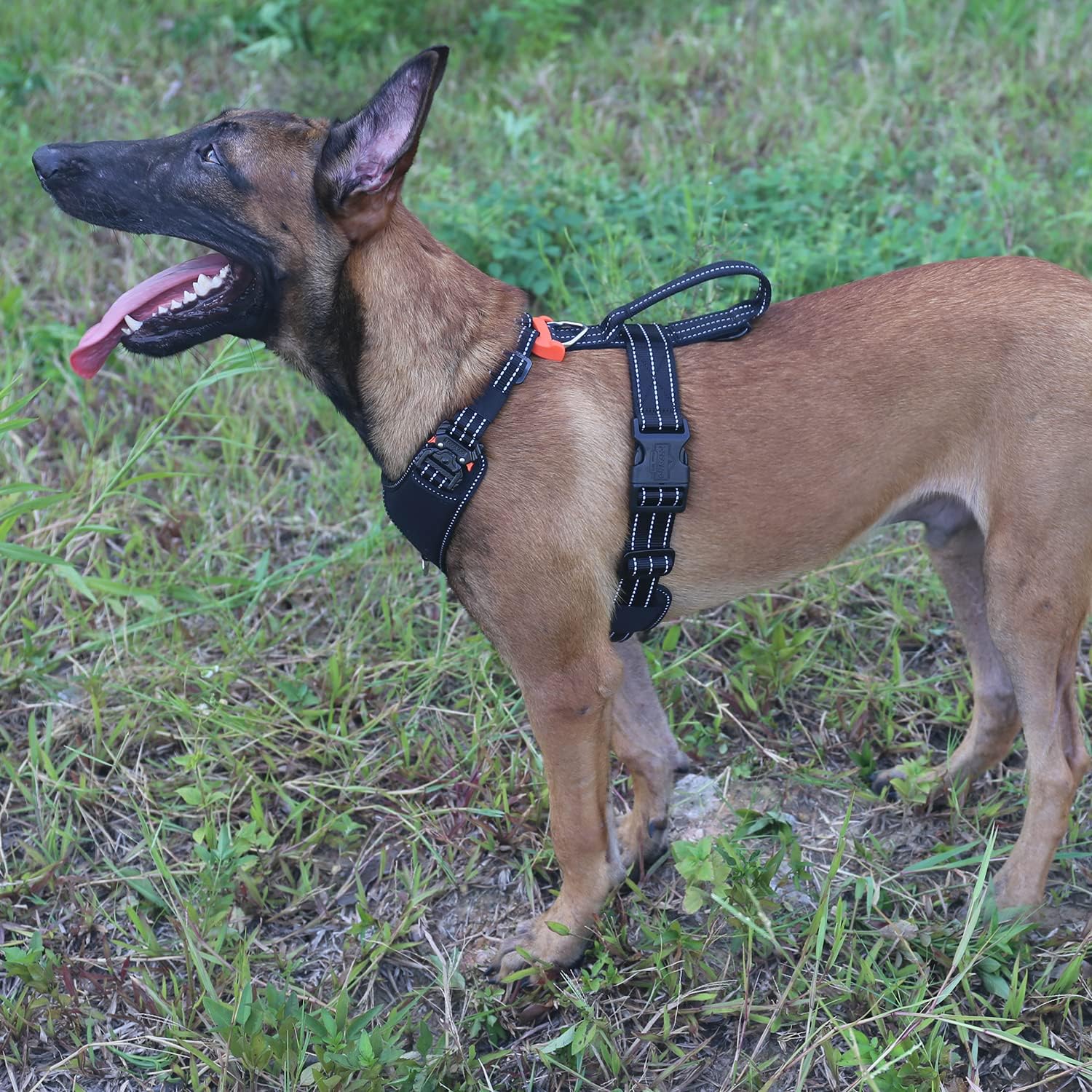 ICEFANG Tactical Dog Strap Harness Mobility Vest with Handle,Padded Y Front Chest Protector,5 Point Adjustable,No-Pull Leash Attachment (X-Large (Pack of 1), Elite-Black)