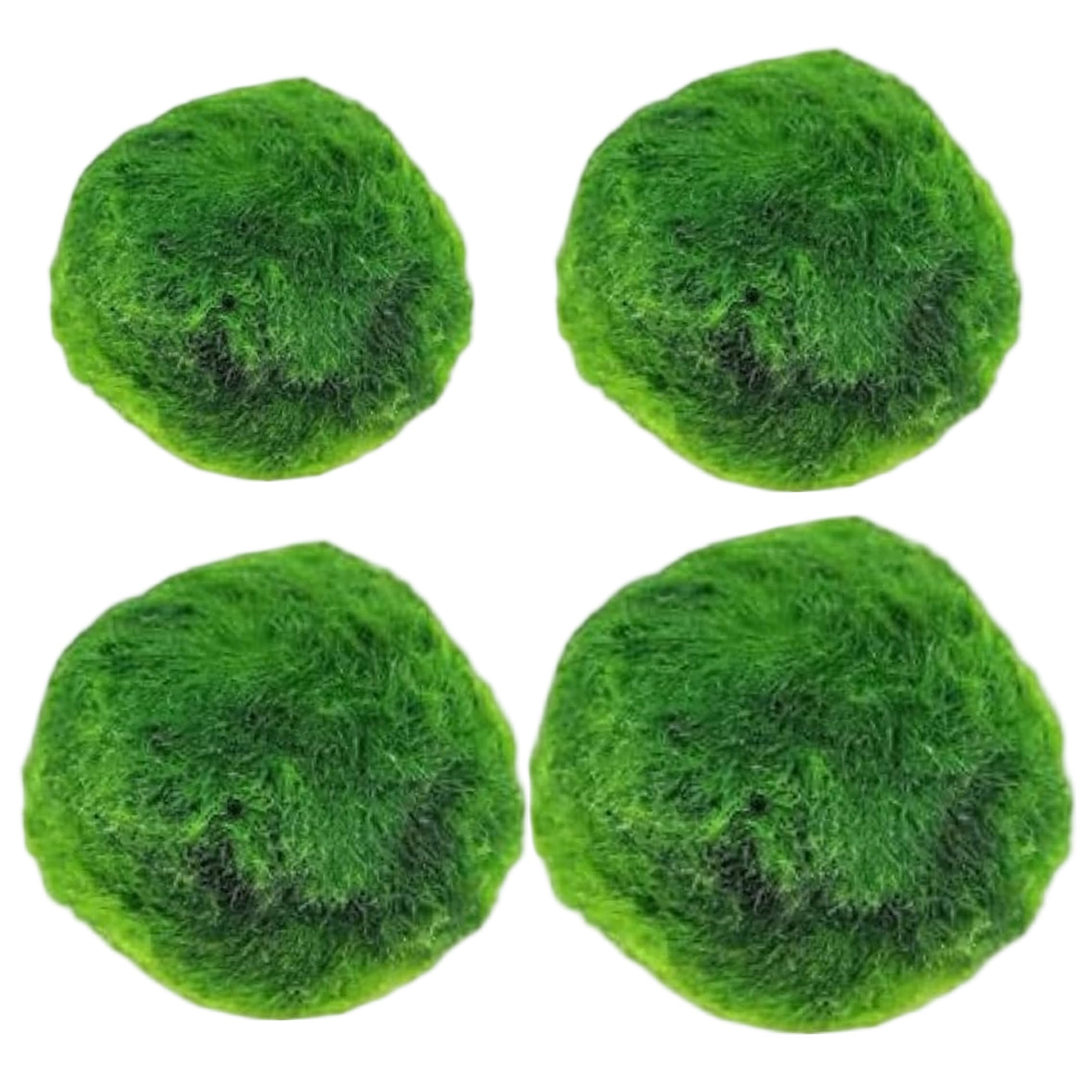 AwnsIMfreien 4PCS Marimo Moss Balls Live, Aquarium Moss Decorative Green Algae Balls, Assorted Sizes 0.79-1.30 Inch (After Soaking), Decorative