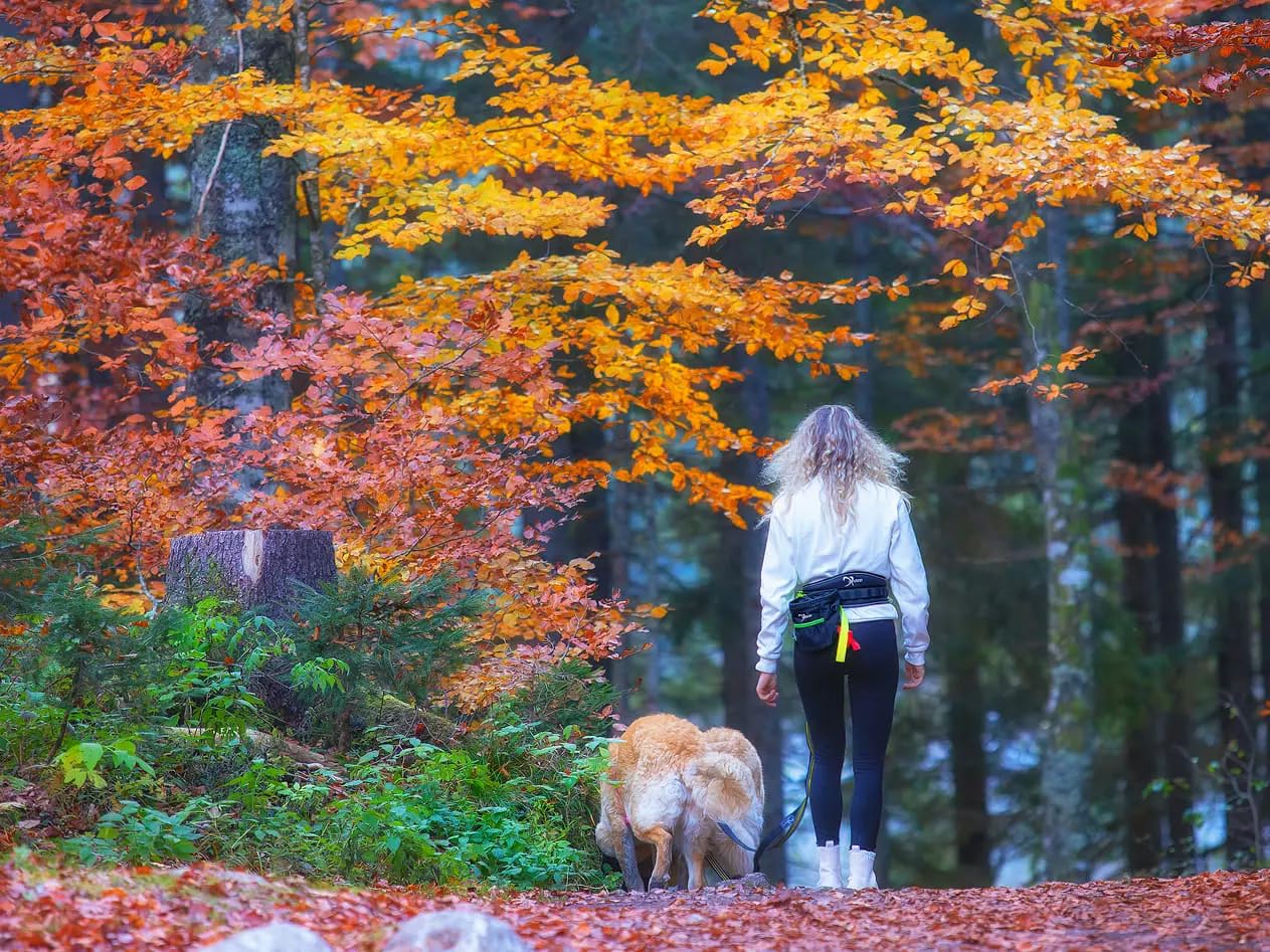 Cintura dog-trekking