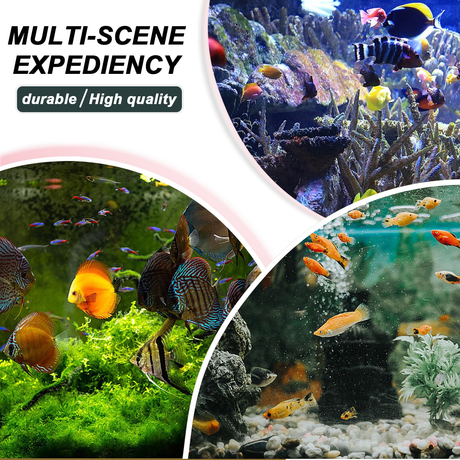 Sala Parto Guppy, Scatola Di Allevamento Per Acquario, Isolare Piantine E Sostenere L'incubazione