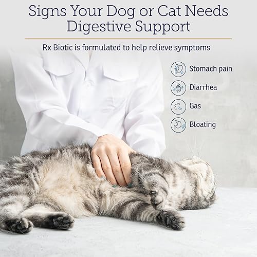 Miniatura 3 de Rx Vitamins Rx Biotic - Polvo probiótico para perros y gatos - Apoyo digestivo y probiótico para perros salud intestinal - Probióticos para perros