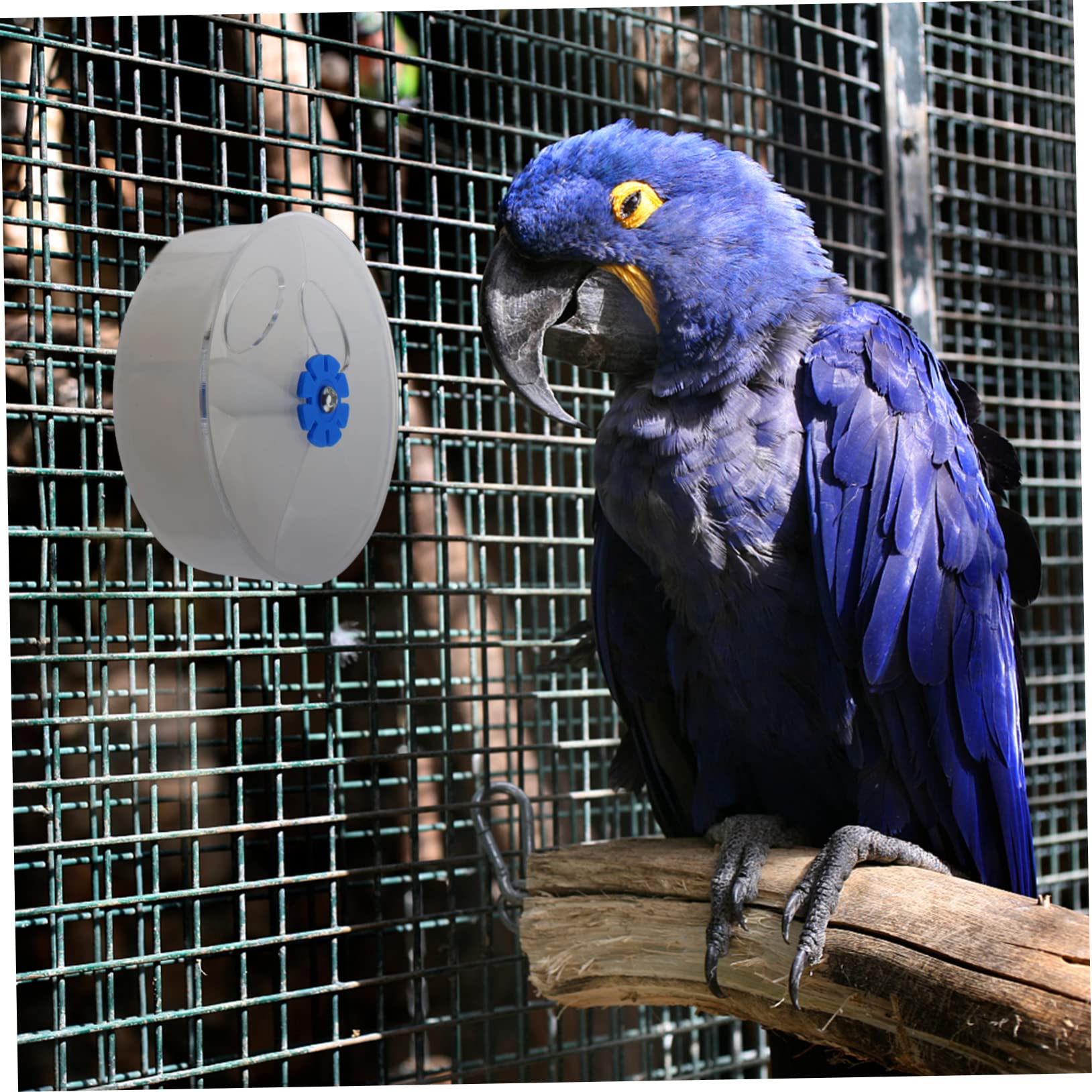 1PC Parrot Supplies Acrylic Foraging Ball Puzzle Pet Parrot Finding Food Box-Pet Supplies - image 5