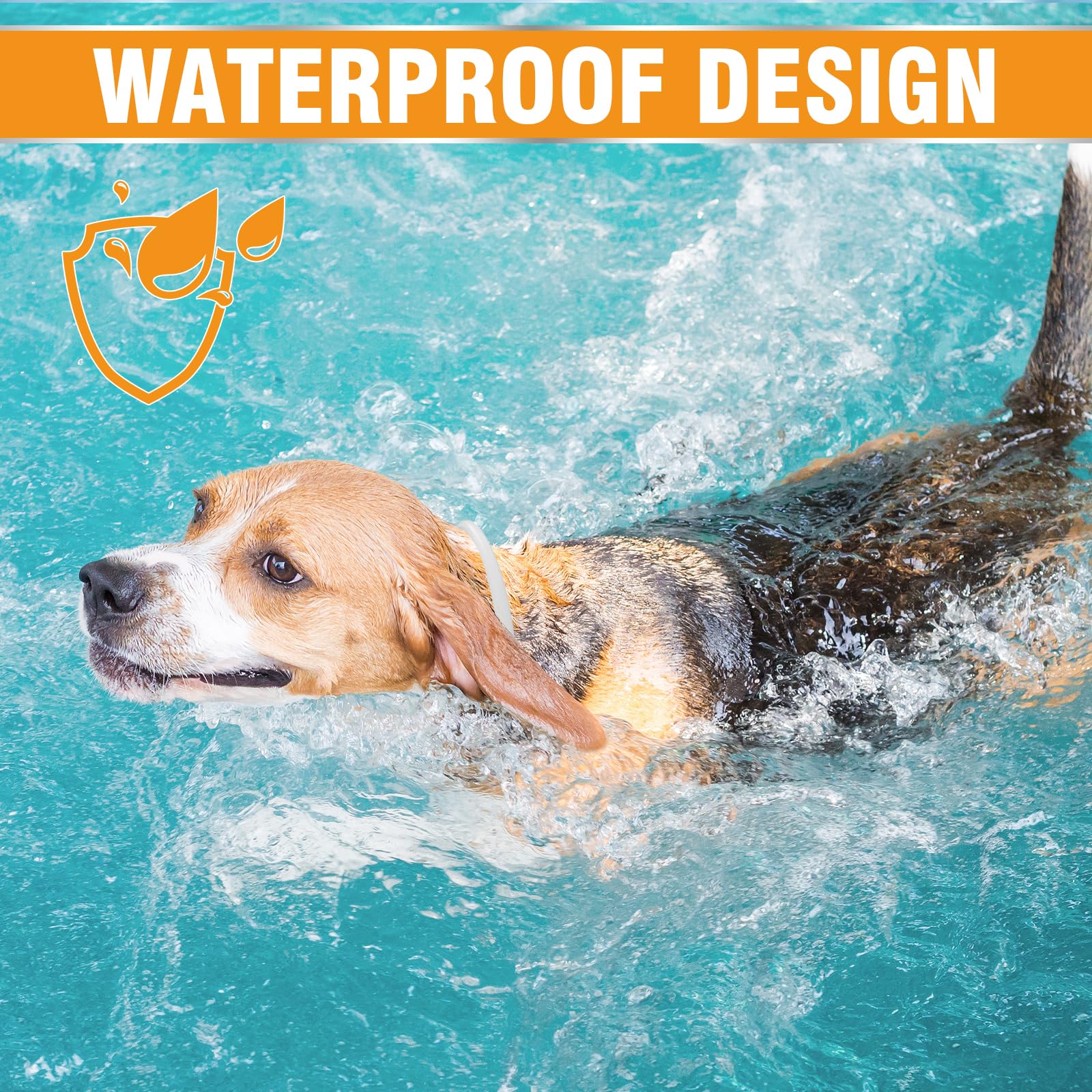 Collare Antiparassitario Per Cani, 12 Mesi Di Protezione Efficace, Collare Antipulci Cane Da 65cm, Regolabile e Impermeabile, Efficace Repellente Per Insetti, Adatto a Cani Di Tutte Le Taglie (1 Pack)