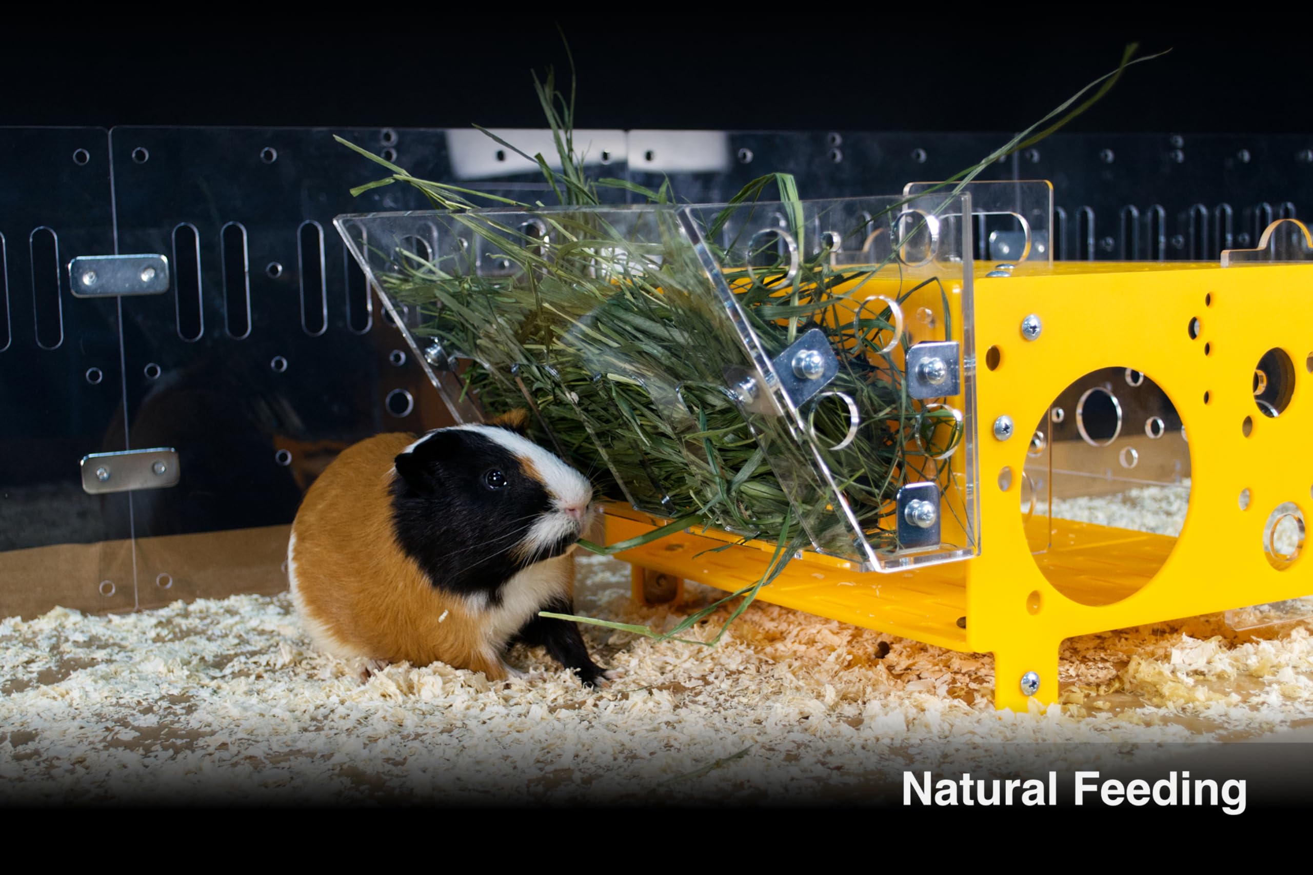 GuineaLoft Hay Feeder - The Ultimate Hay Feeder for Small Pets Like Guinea Pigs, Rabbits and Chinchillas. Designed & Made by Seasoned Owners Who Tried Everything Out There - Guinea Loft Exclusive - Image 4