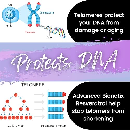 Miniatura 5 de Suplemento de resveratrol trans micronizado de potencia 2X. 1200 mg por 2 cápsulas. Fórmula antioxidante de alta absorción. Promueve el