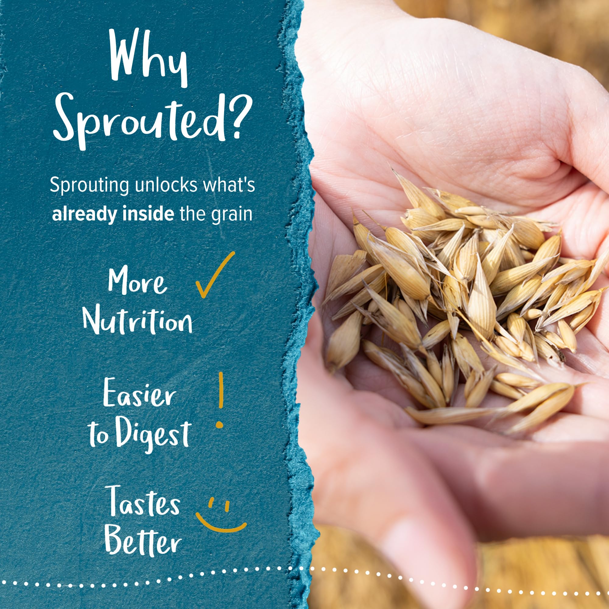 One Degree Organics Sprouted Quick Oats, 24oz thumbnail 5