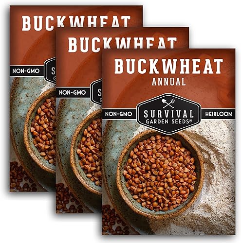 Semilla de trigo sarraceno para plantar, 3 paquetes con instrucciones para plantar y cultivar un cultivo de cobertura y plantas de trigo sarraceno