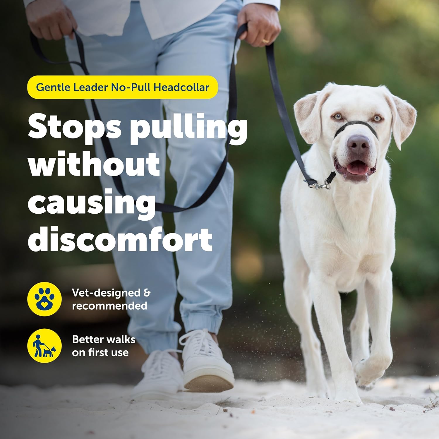 Transform Walks with the PetSafe Gentle Leader: The Ultimate No-Pull Solution for Your Dog!