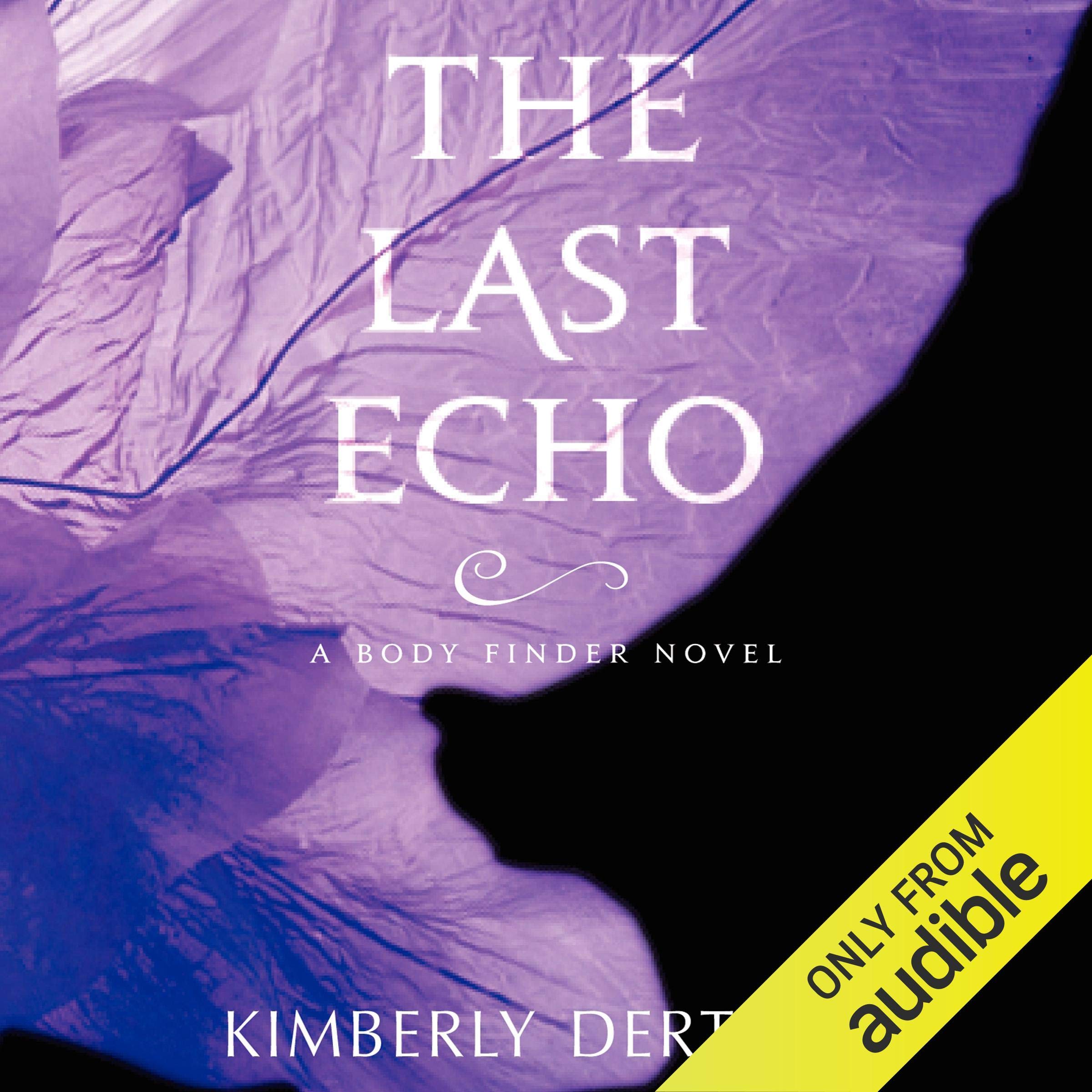 Cover art for The Last Echo