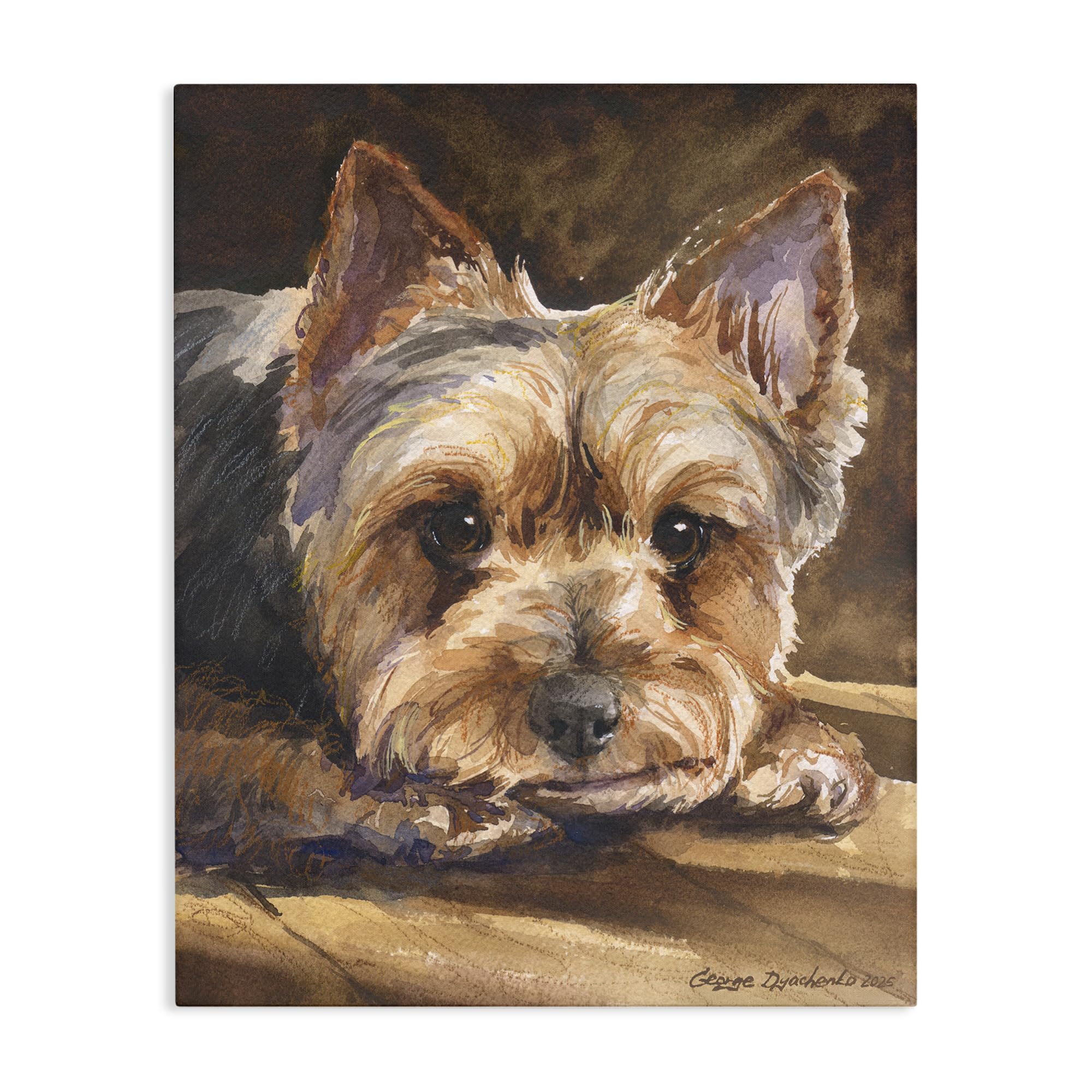 'Yorkshire Terrier Portrait'| Canvas Art