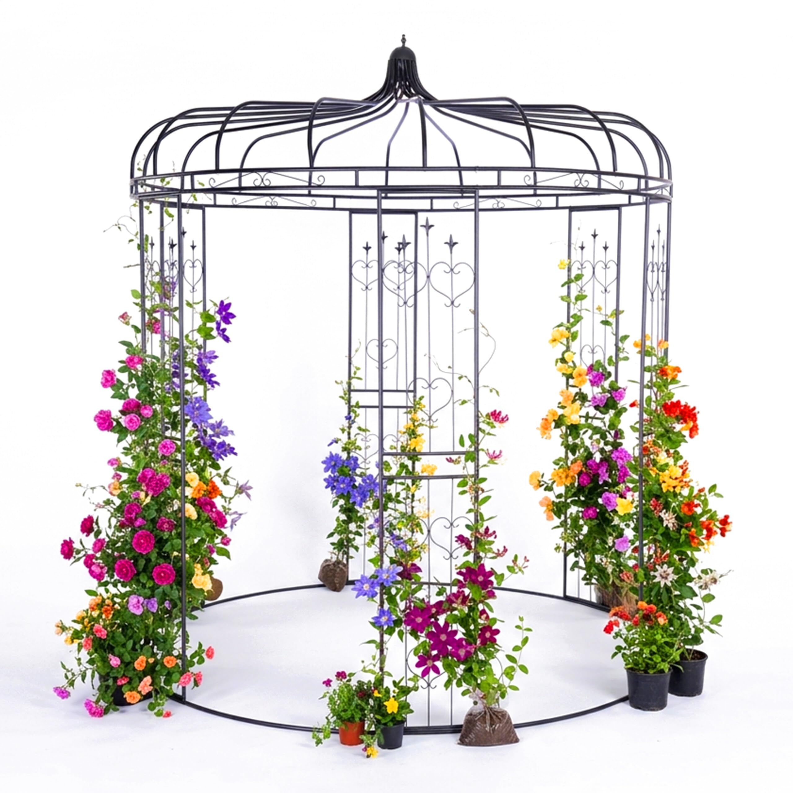 Relaxdays Pavillon à Roses en métal, 271 x 232 cm, Noir, Arceau de Jardin Vintage pour Plantes grimpantes