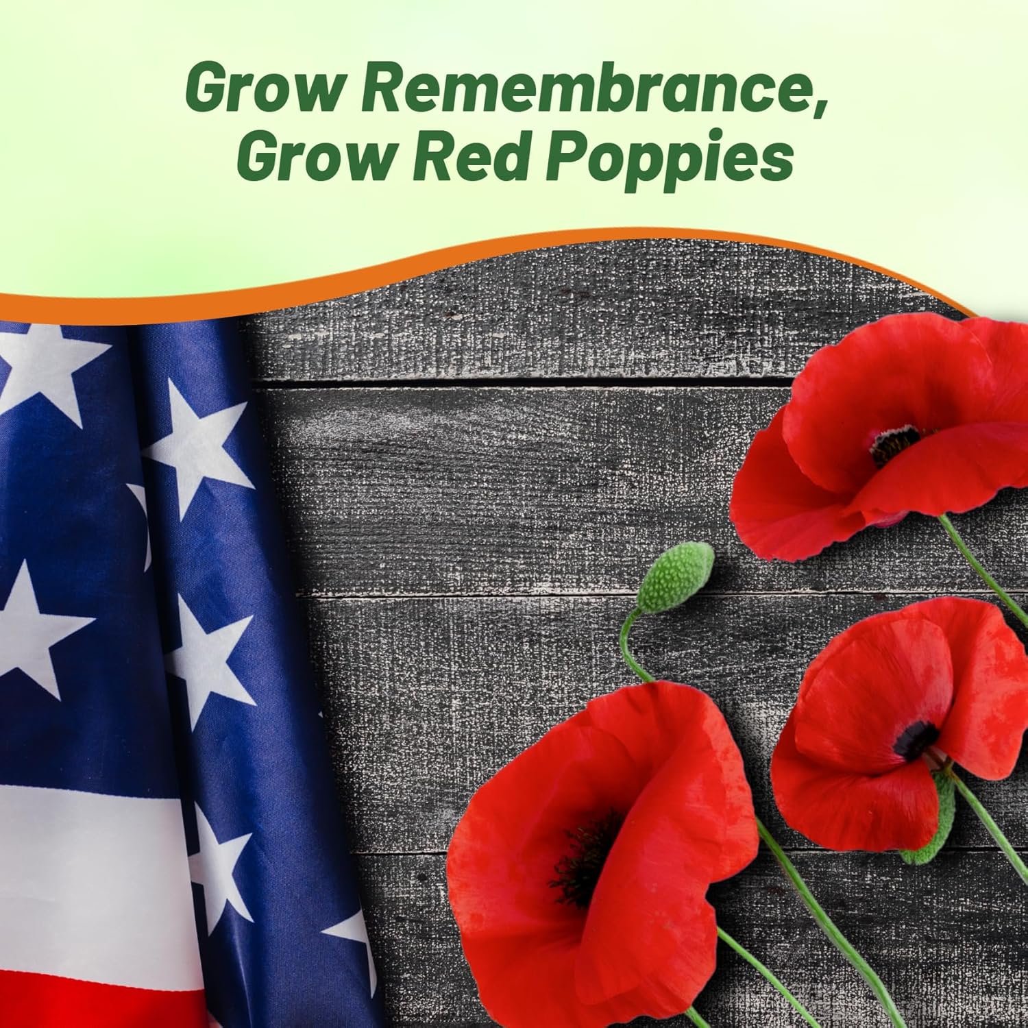 Outsidepride Red Poppy Seeds for Planting - 1 lb. Annual, Drought-Tolerant & Easy to Grow Wildflower Seeds with Vibrant Red Blooms for Landscaping, & Pollinator Garden