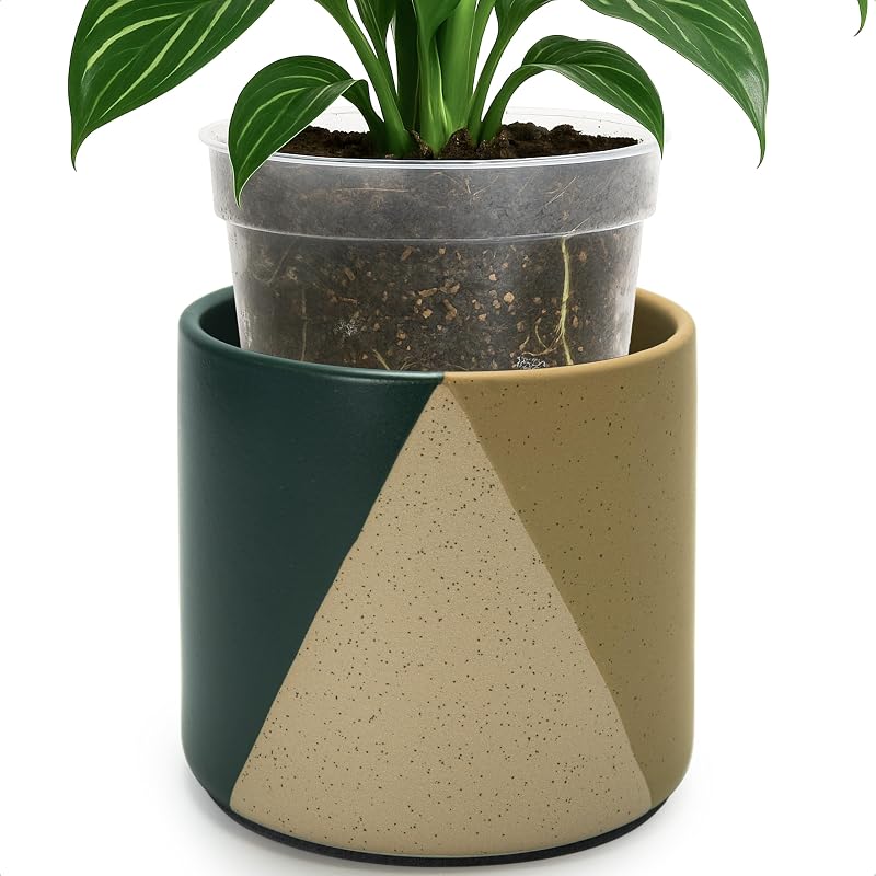 D'vine Dev Cachepot, Clear Pot & Saucer, 6.5 in, Desert Forest, 93-O-C-1 | Dual-Pot System, Root Visibility, Bottom Watering Support, Enhanced Drainage, Artistic Stoneware Design, Easy Plant Care