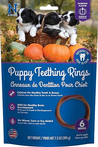 Aro mordedor con sabor a calabaza para perros cachorros de N-Bone