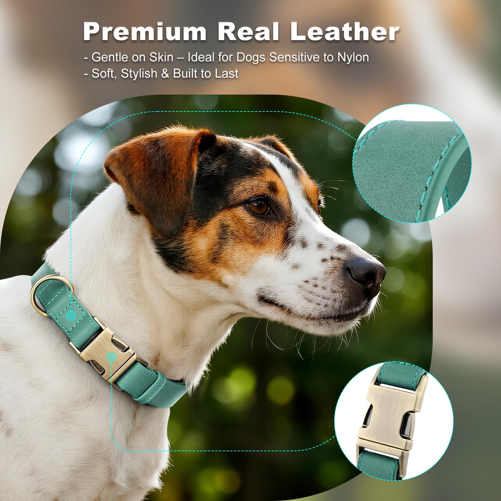 Plutus Pet Genuine Leather Dog Collar, Adjustable Pet Collar with Quick Release Metal Buckle - Image 3