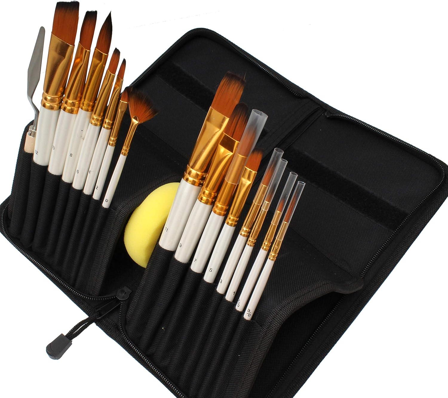 Paint Brushes Set with Case, Intermediate Paint Brushes for