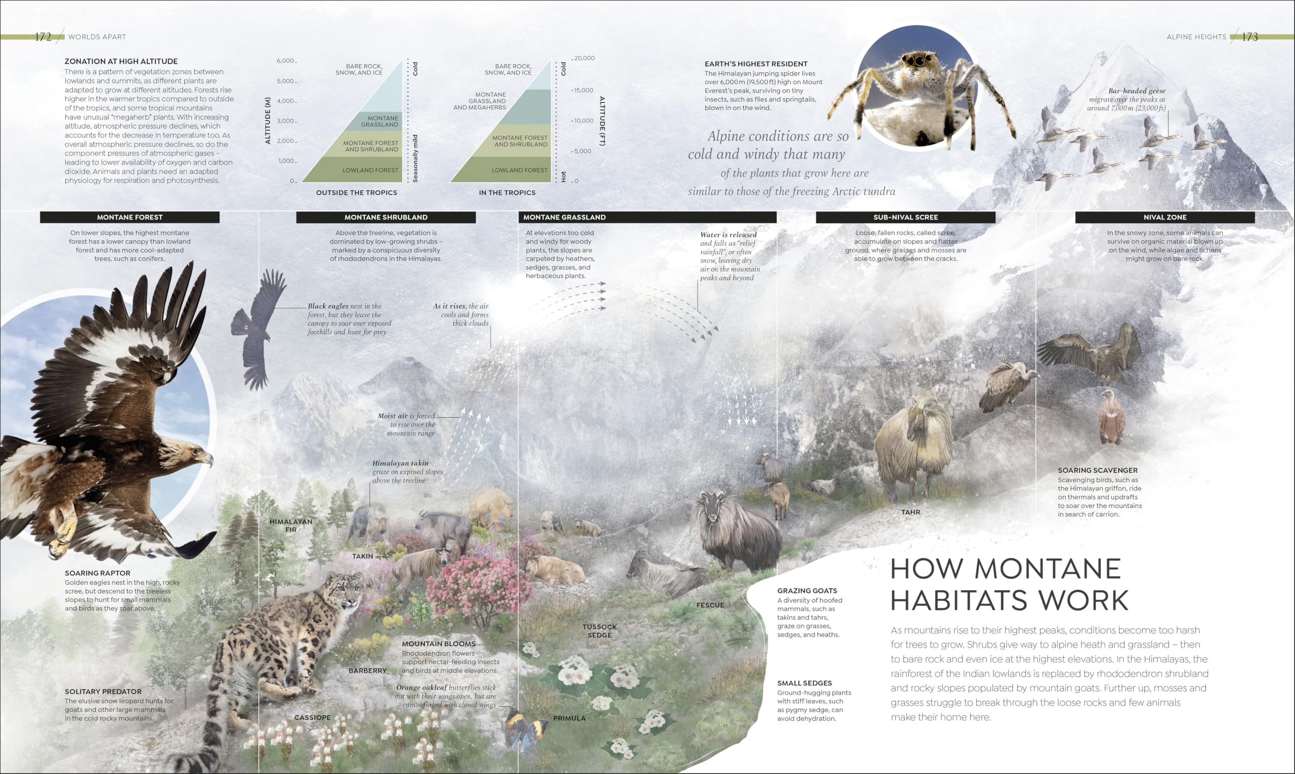 Habitats: Discover Earth's Precious Wild Places