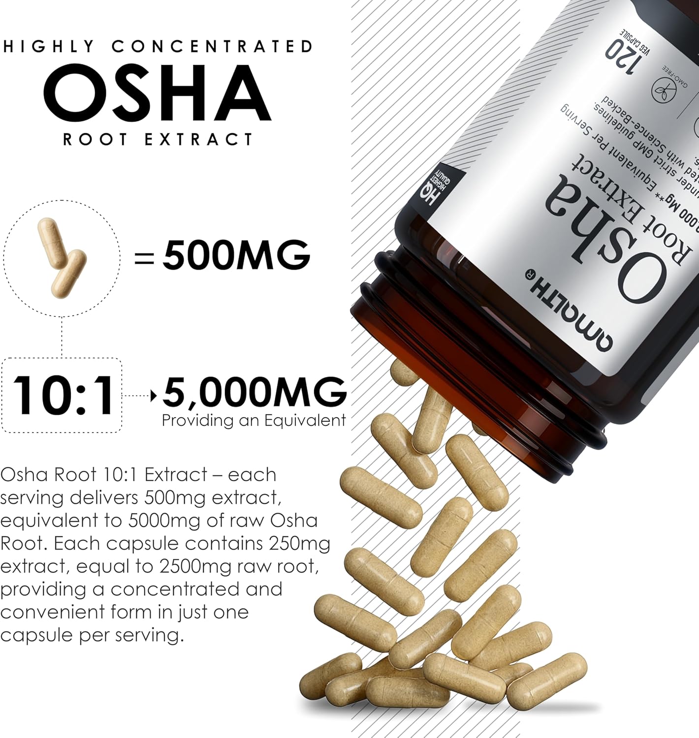 AMALTH OSHA Root 20:1 Extract, 1000mg 120 Vegan Capsules, Concentrated and Standardized 15X Extract, 100% Vegetarian, Ligusticum porteri, All-Natural and Non-GMO - Image 5