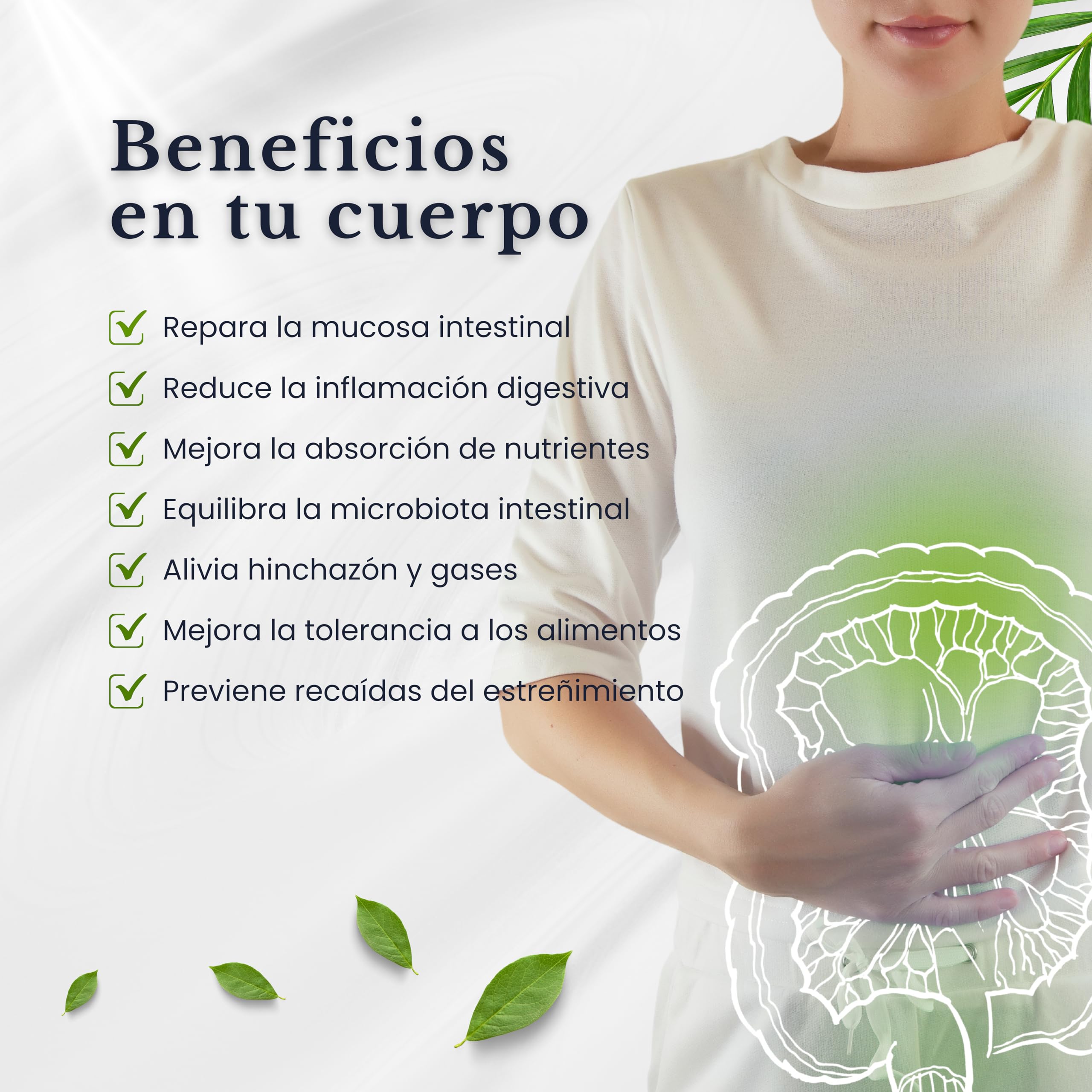 Gestión Avanzada de la Salud Intestinal – Probióticos, Omega-3 TG, L-Glutamina, Berberina, Quercetina y Trans-Resveratrol – Sin OMG | Sinergia excepcional para microbiota y barrera intestinal