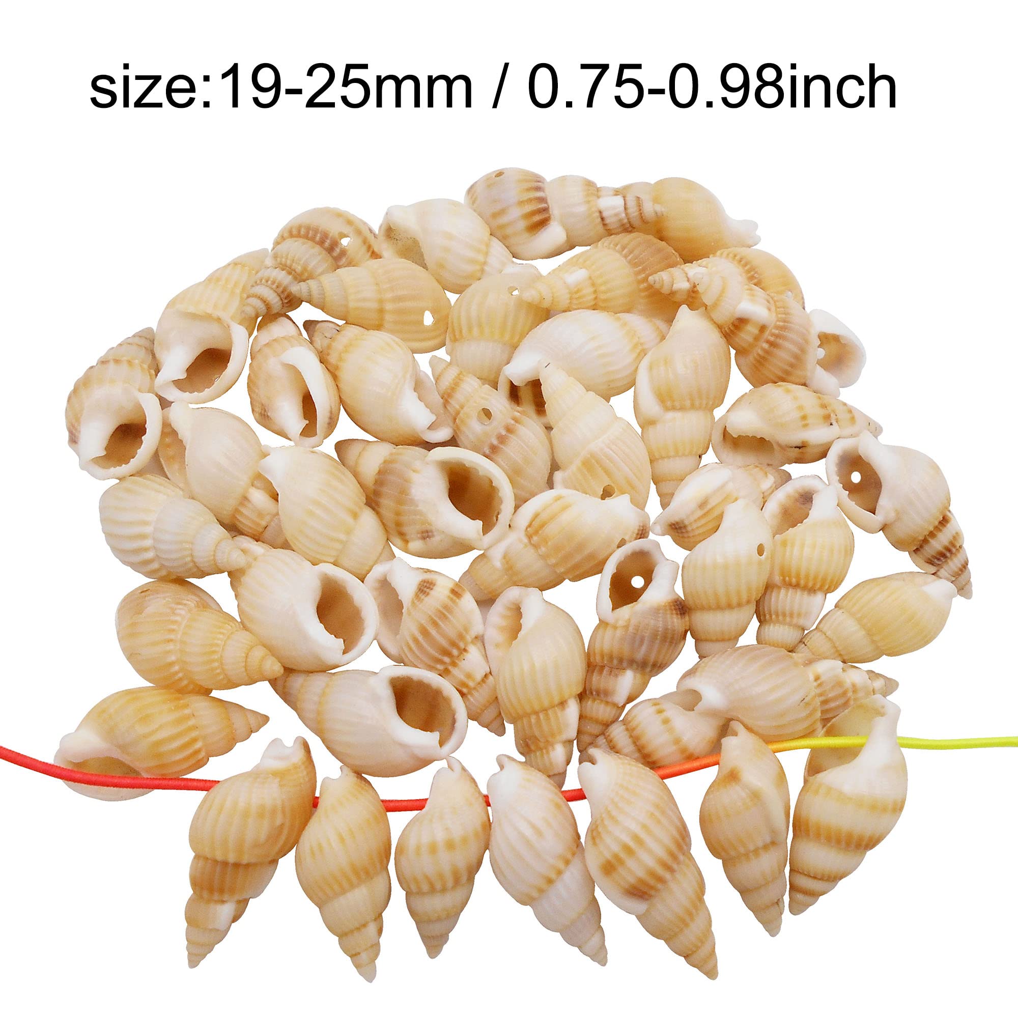 Shell 100pcs Spiral Sea Shells