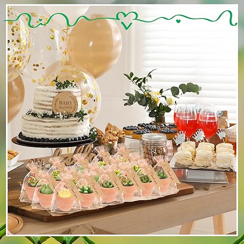 Miniatura 5 de MTLEE 24 velas suculentas a granel, velas de plantas de baby shower, velas novedosas para plantas de terrario con maceta de terracota, bolsas de