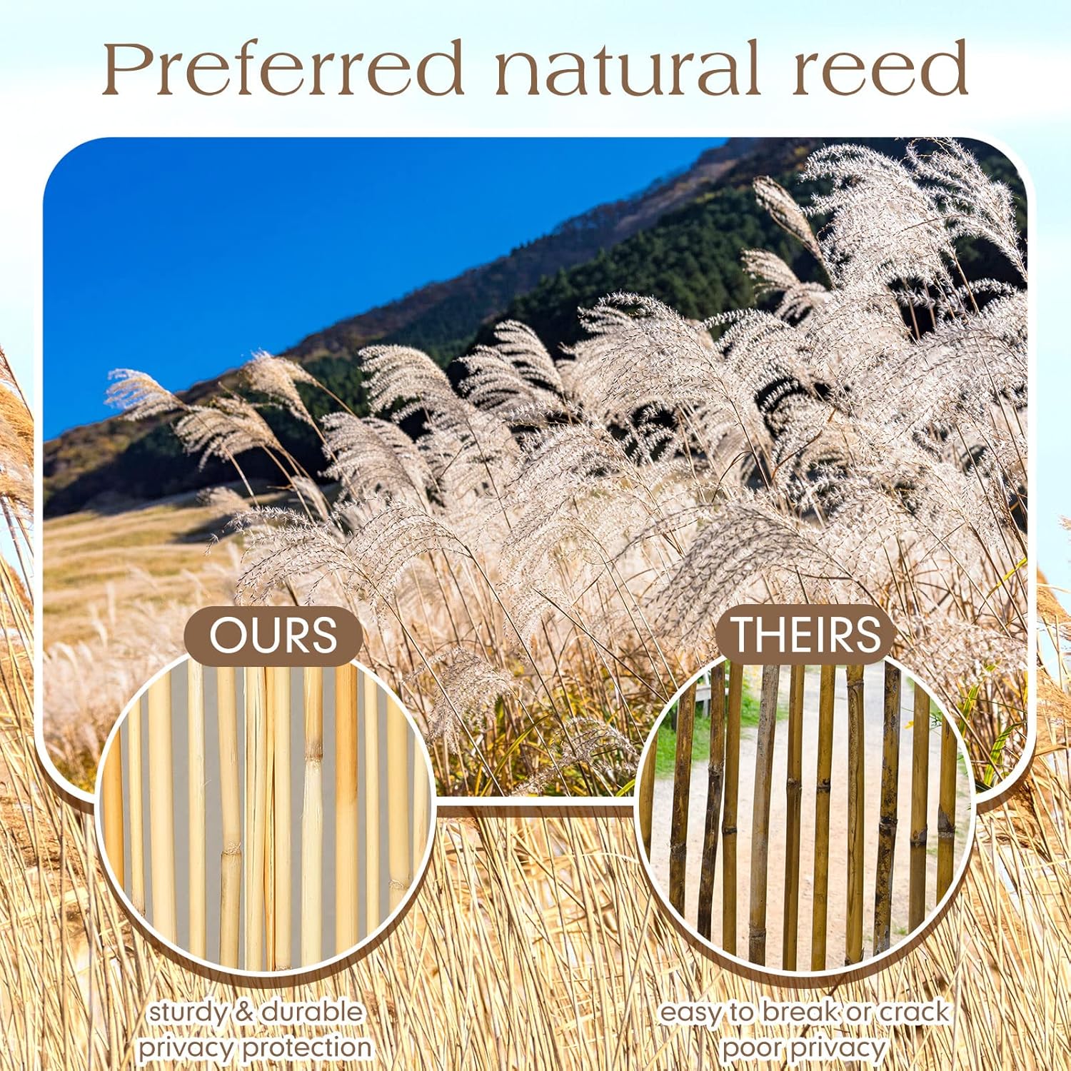 Maitys 3 Pack 3.3 x 16.4 ft Natural Reed Fence Rolle Reed Fencing Privacy Screen Panels Bamboo Curtain Patio Screen Decorative Fences for Garden Backyard Balconies
