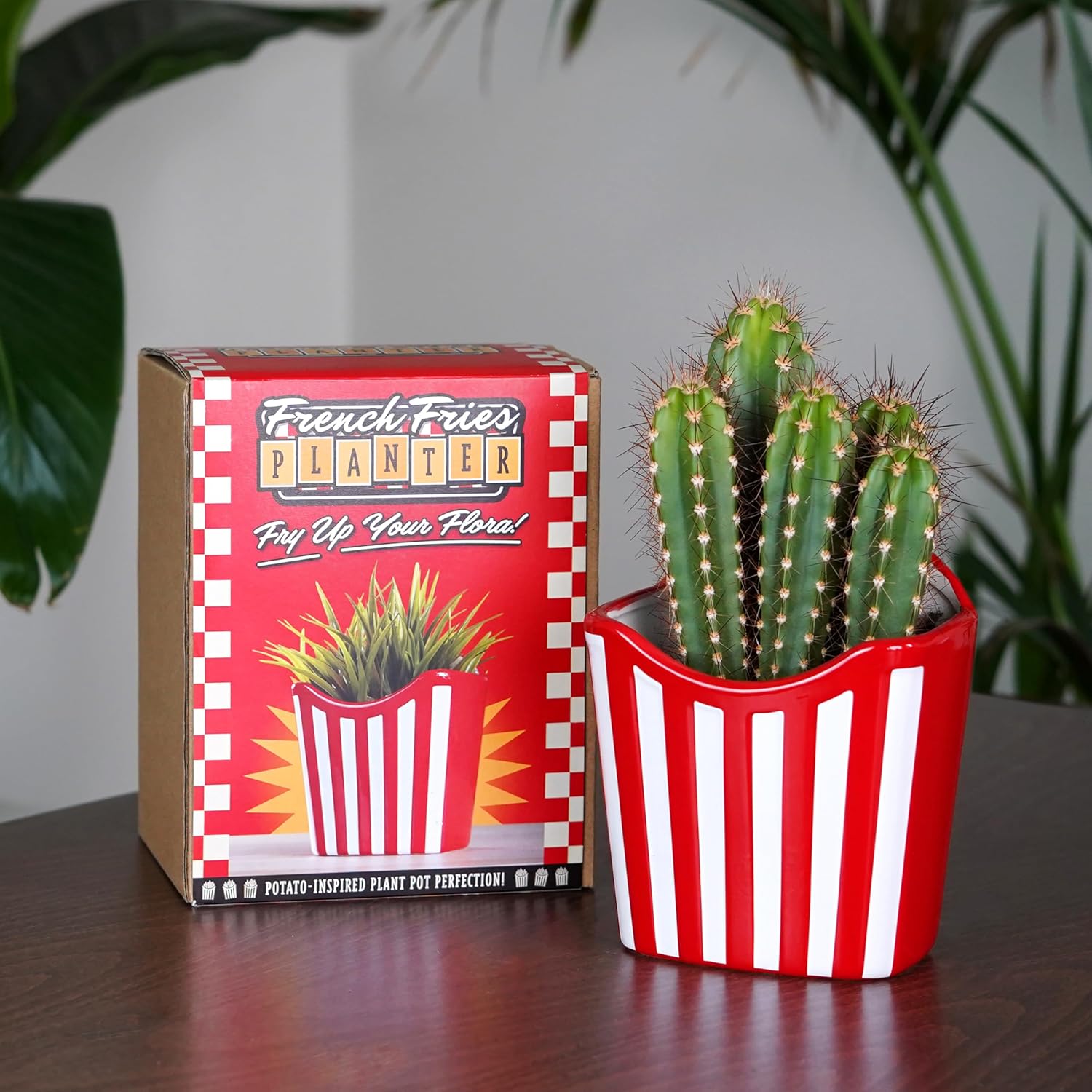 Bubblegum Stuff - French Fry Planter - Novelty Cute Flower Pots for Succulents Flower Plant Pot Creative Shaped Fast Food Planter Ceramic Indoor Plant Pot - 7.17 x 5.75 x 4.85 in