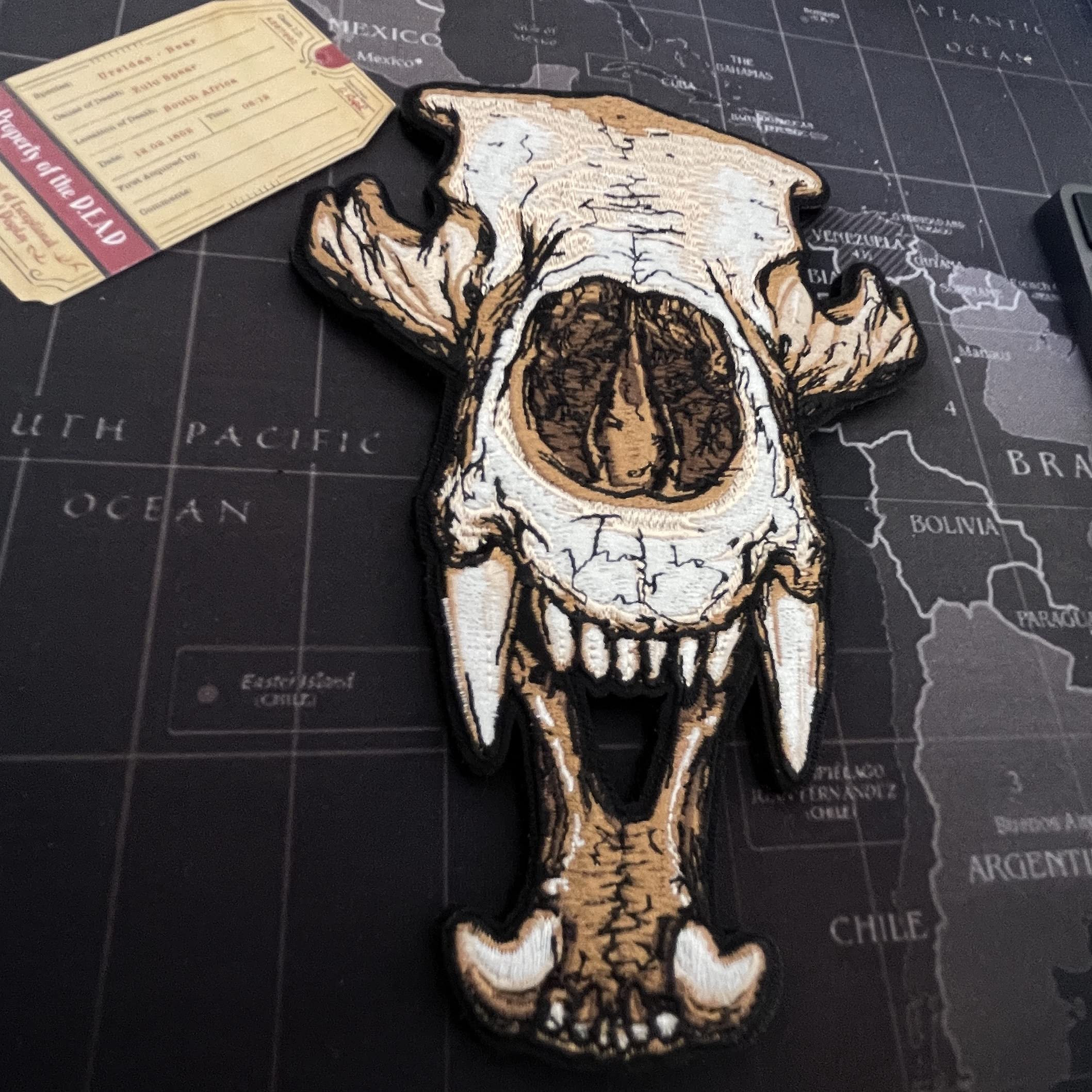 Bear Skull Embroidery Patch 8-9 inch : Amazon.sg: Automotive