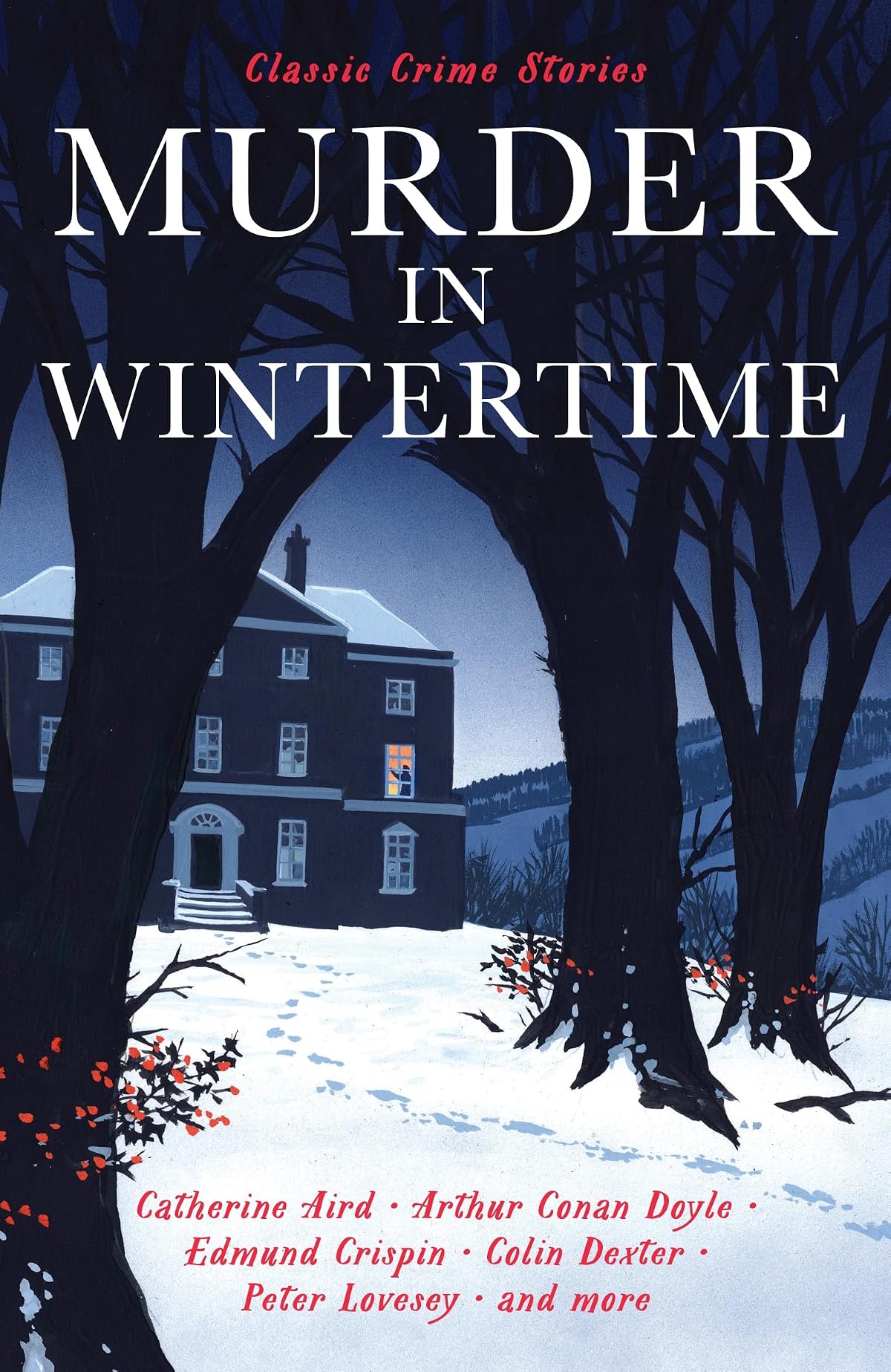 Murder in Wintertime: Classic Crime Stories (Vintage Crime Series)