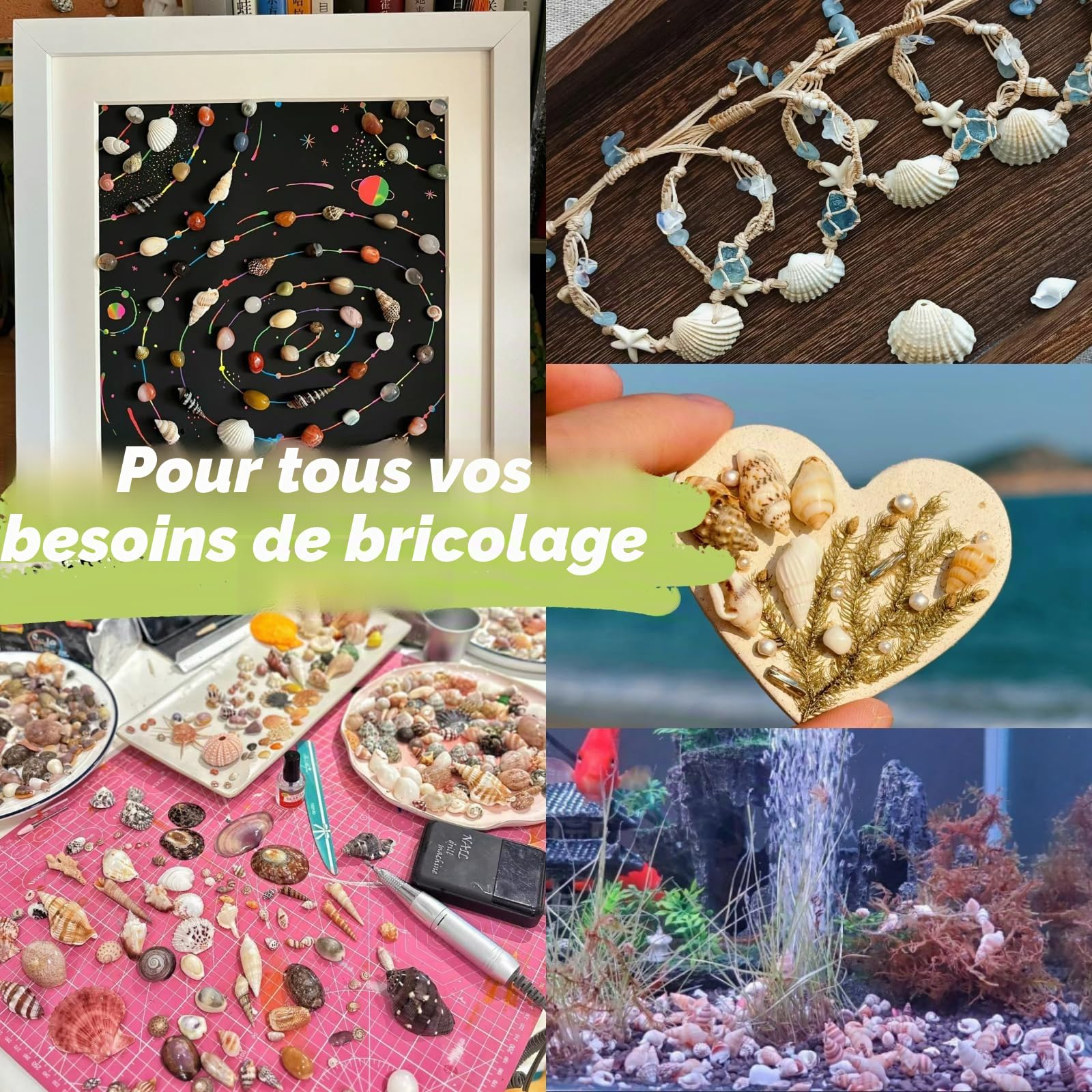 1 200 pièces petites coquillages de mer et 10 petites étoiles de mer - Mélange de coquillages de plage en spirale pour aquarium et vase, décoration de fête sur le thème de la plage