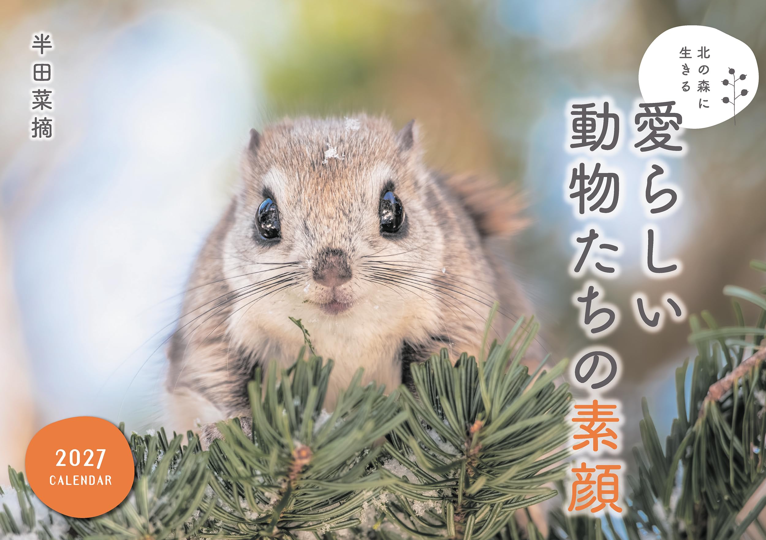 北の森に生きる愛らしい動物たちの素顔カレンダー 2027（壁掛け
