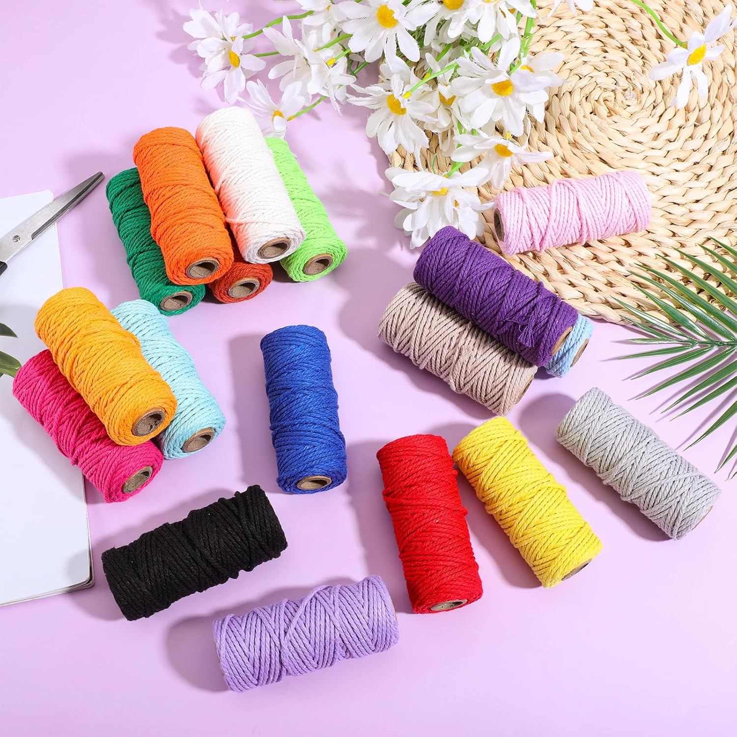 18 Rolls Natural Macrame Cord, 2mm x 590 Yards Soft Craft Cord Macrame Rope, 3 Strand Twisted Soft Macrames Rope, Colored Natural Cotton Cords for Artworks, Knitting, Plant Hangers, Wrapping String