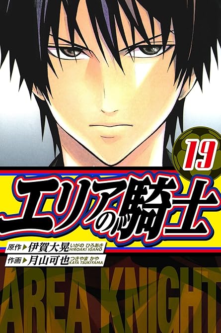 『エリアの騎士　愛蔵版　19』の表紙イラスト 電子書籍 漫画