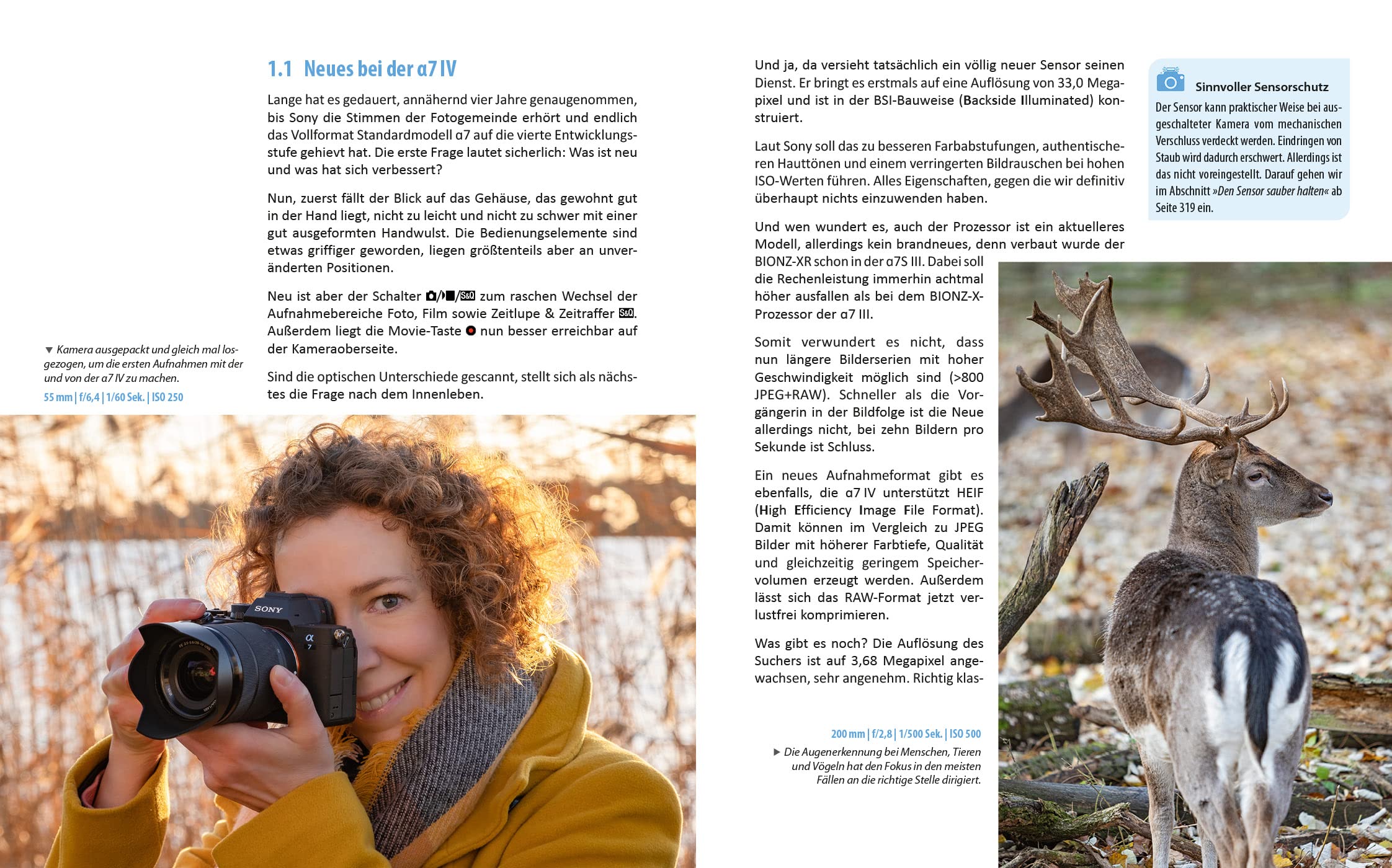 Sony a7 IV: Das umfangreiche Praxisbuch zu Ihrer Kamera!
