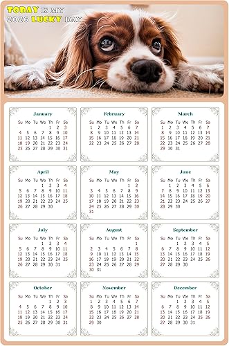 Calendario magnético 2024  Imanes del calendario  Today is my Lucky Day  Resistente a la decoloración, desgarros y agua  Temático de perros 01 (5.25