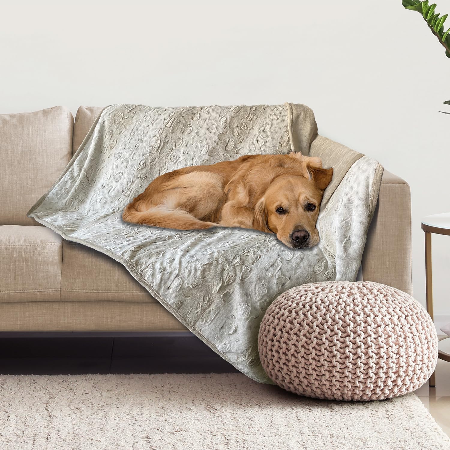 Dog Throw String Amazon.com: Arlee Home + Pet Waterproof Throw Blanket for Cats & Dogs ...