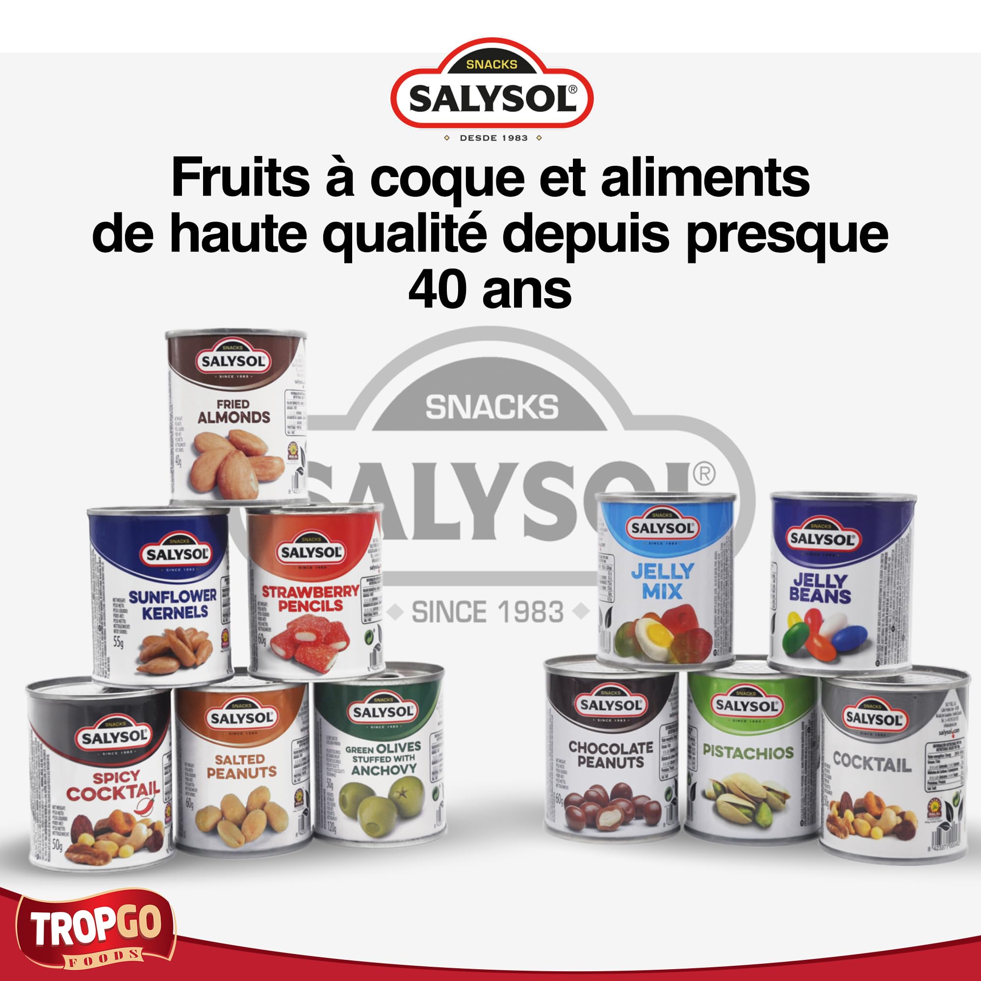 Salysol Cocktail de Fruits à Coque - 10 Boîtes de 50 g - Mélange d’Amandes, de Noisettes, de Noix de Cajou, de Cacahuètes Salées, de Noix, de Maïs Grillé, de Cacahuètes au Miel - Snacks Sains