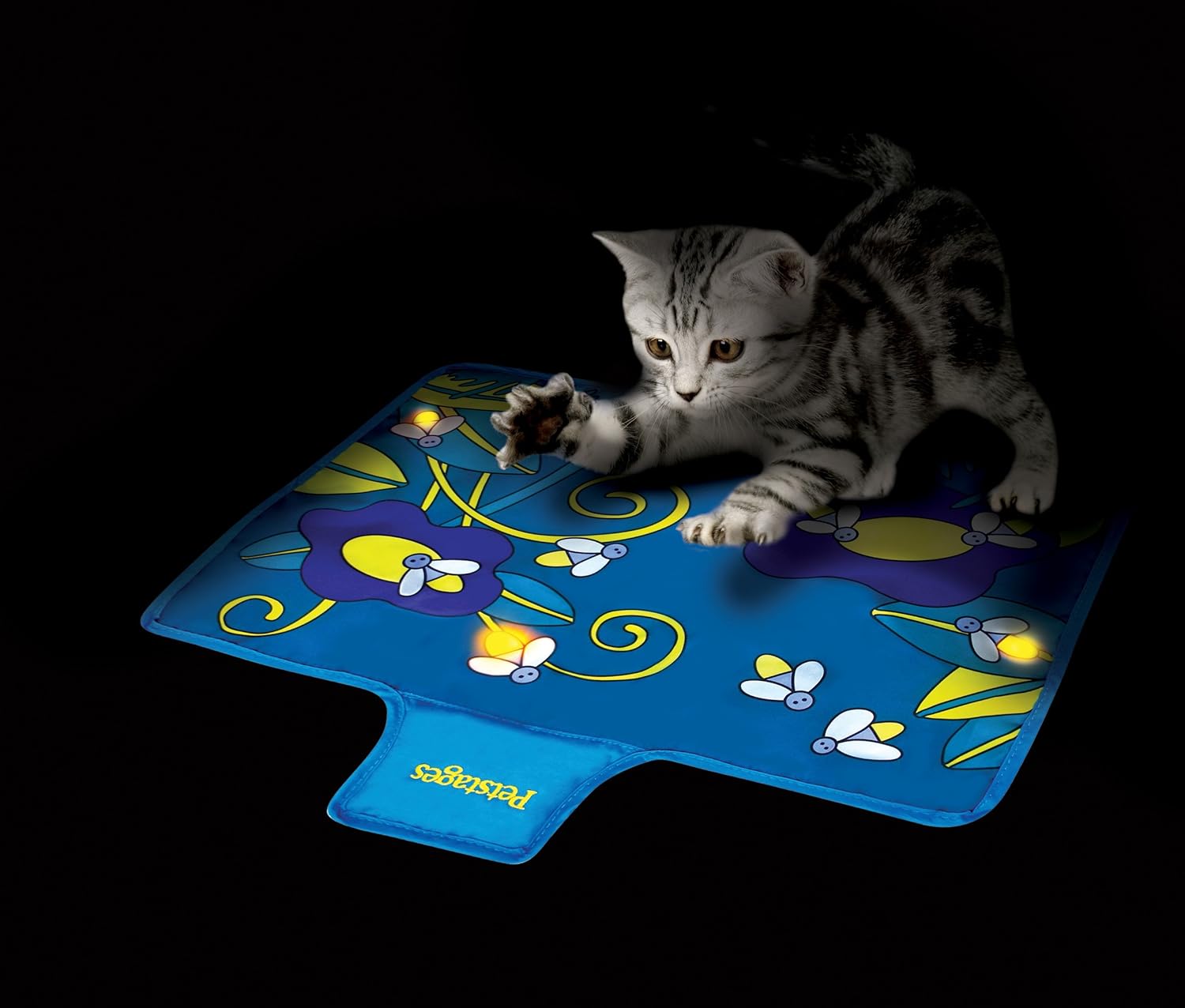 cat play mats