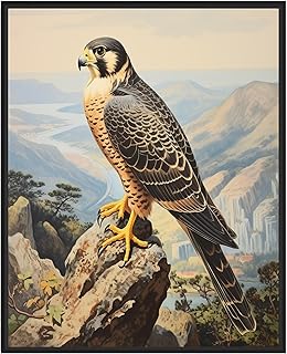 Peregrine Falcon Art Print Poster, Falcon, Hawk, Eagle Drawing, Birds of Prey Vintage Painting, Wall Art Birds Decoration (Peregrine Falcon, 11x14 inches (Unframed))