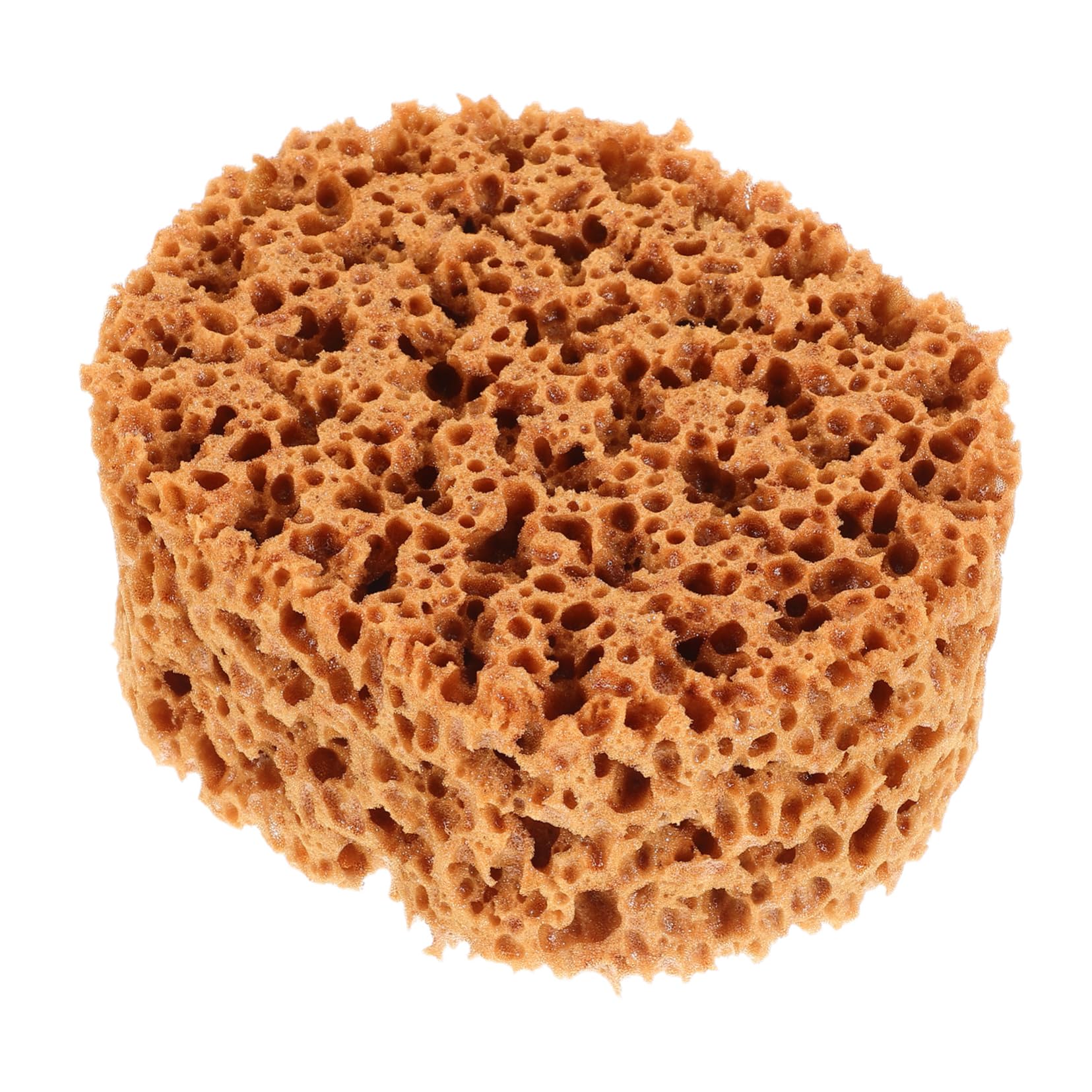 Housoutil Painting Sponges Ergonomic Seaweed Imitation Design for Decorating Texturing and Crafts Easy to Use Comfortable Grip Efficient Paint Application for Artistic